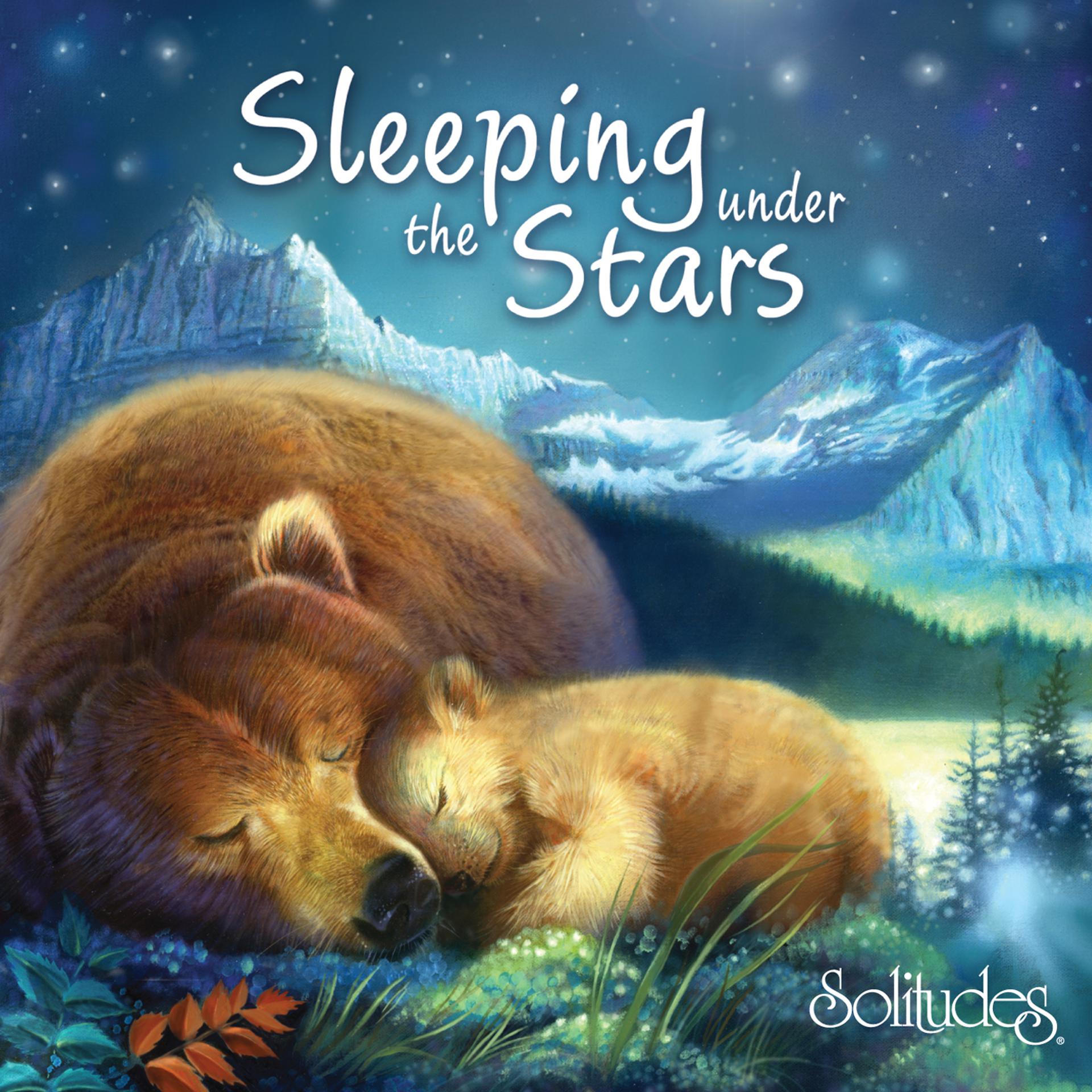 Постер альбома Sleeping Under the Stars