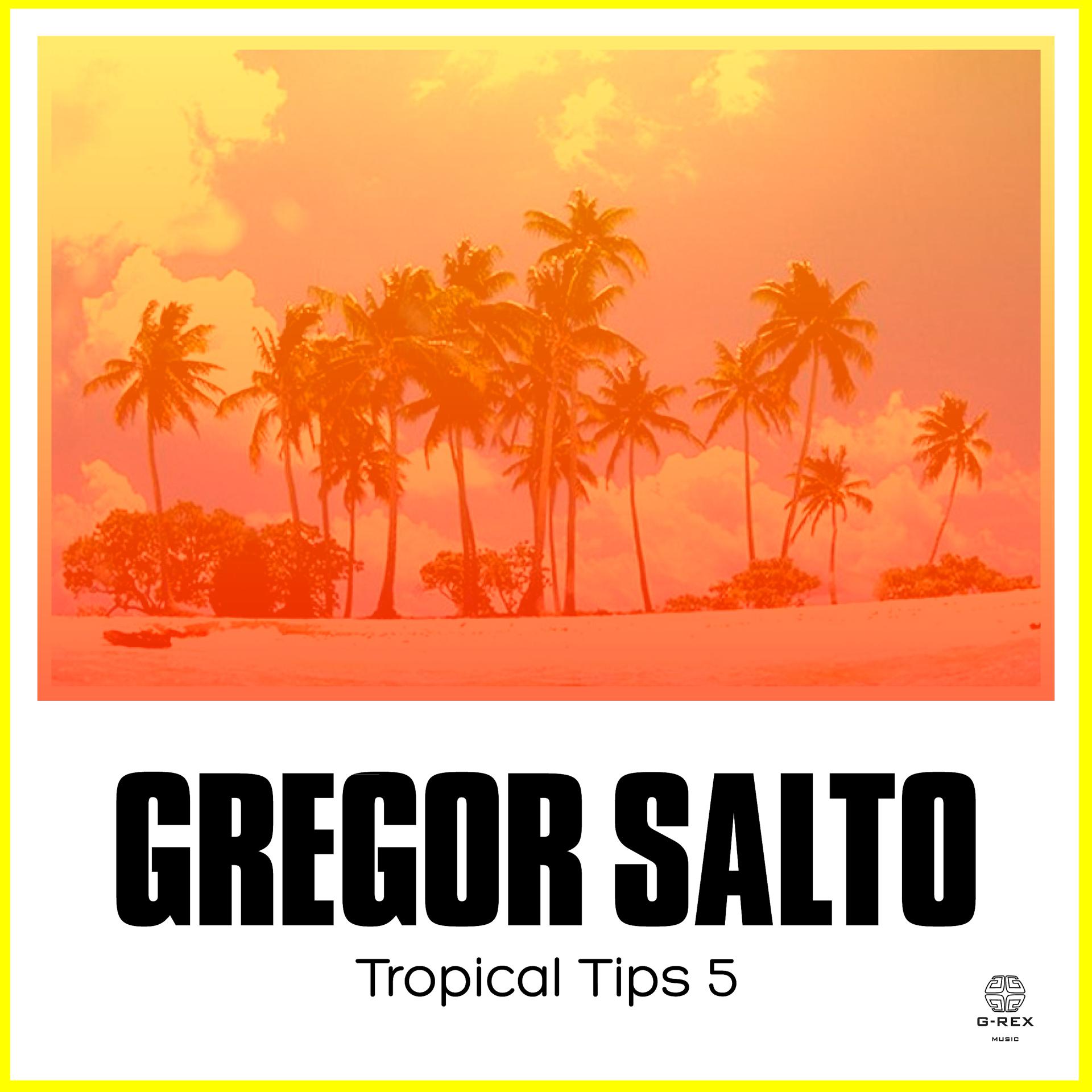 Постер альбома Gregor Salto Presents Tropical Tips 5