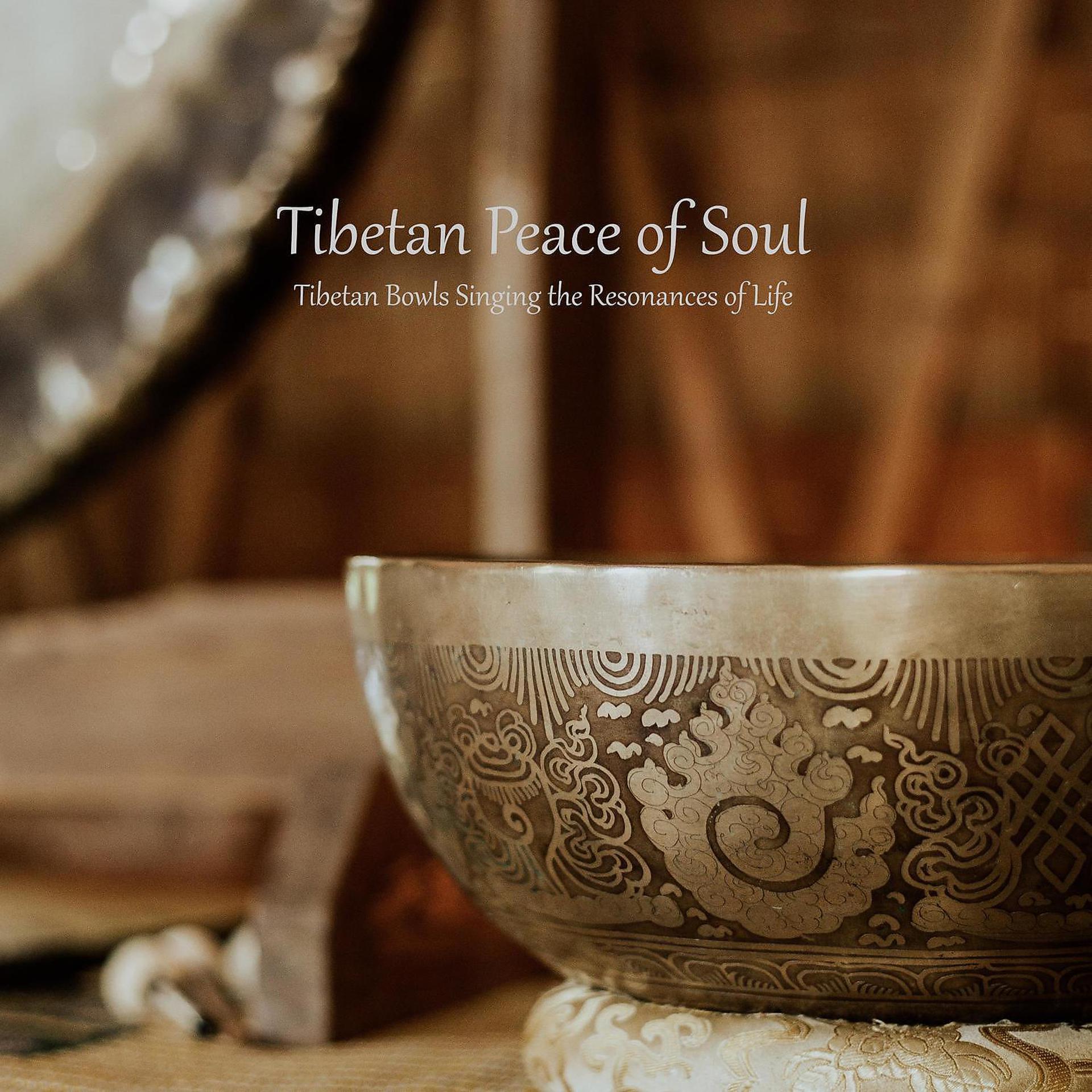 Постер альбома Tibetan Bowls Singing the Resonances of Life
