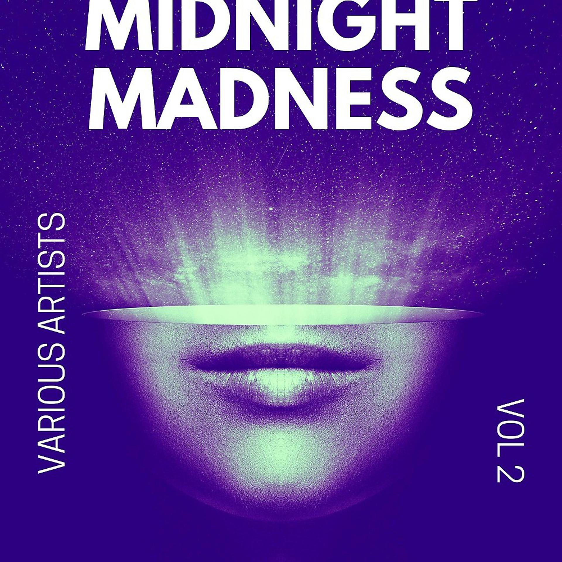 Постер альбома Midnight Madness, Vol. 2