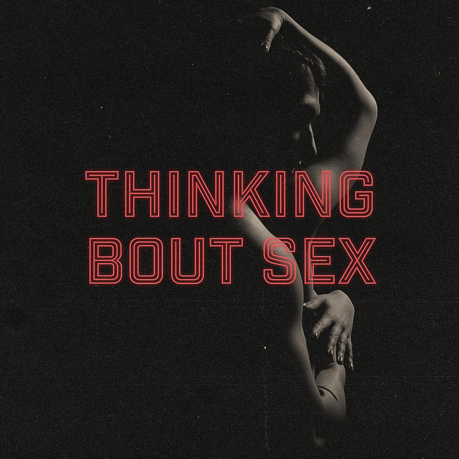 Постер альбома Thinking Bout Sex