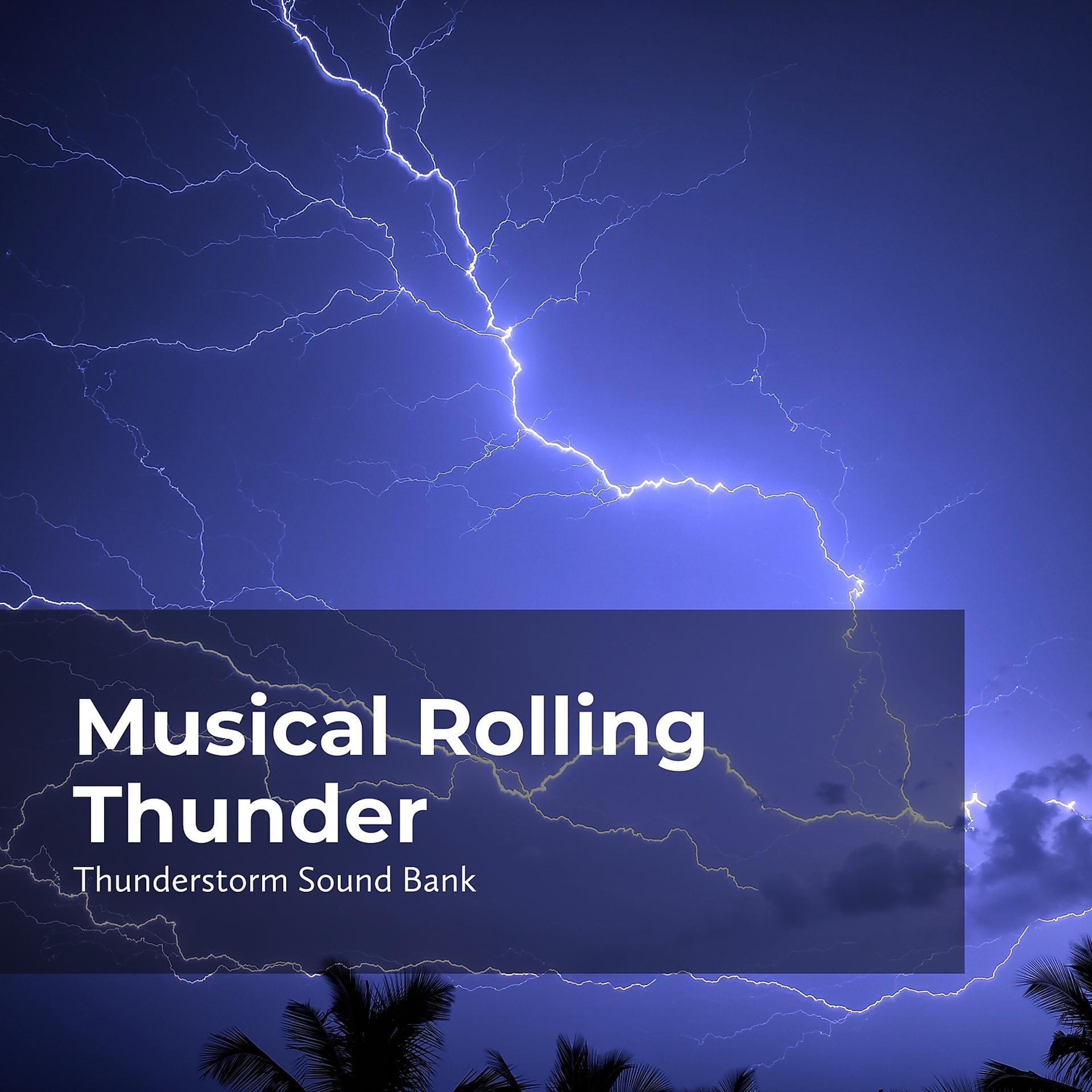 Постер альбома Musical Rolling Thunder