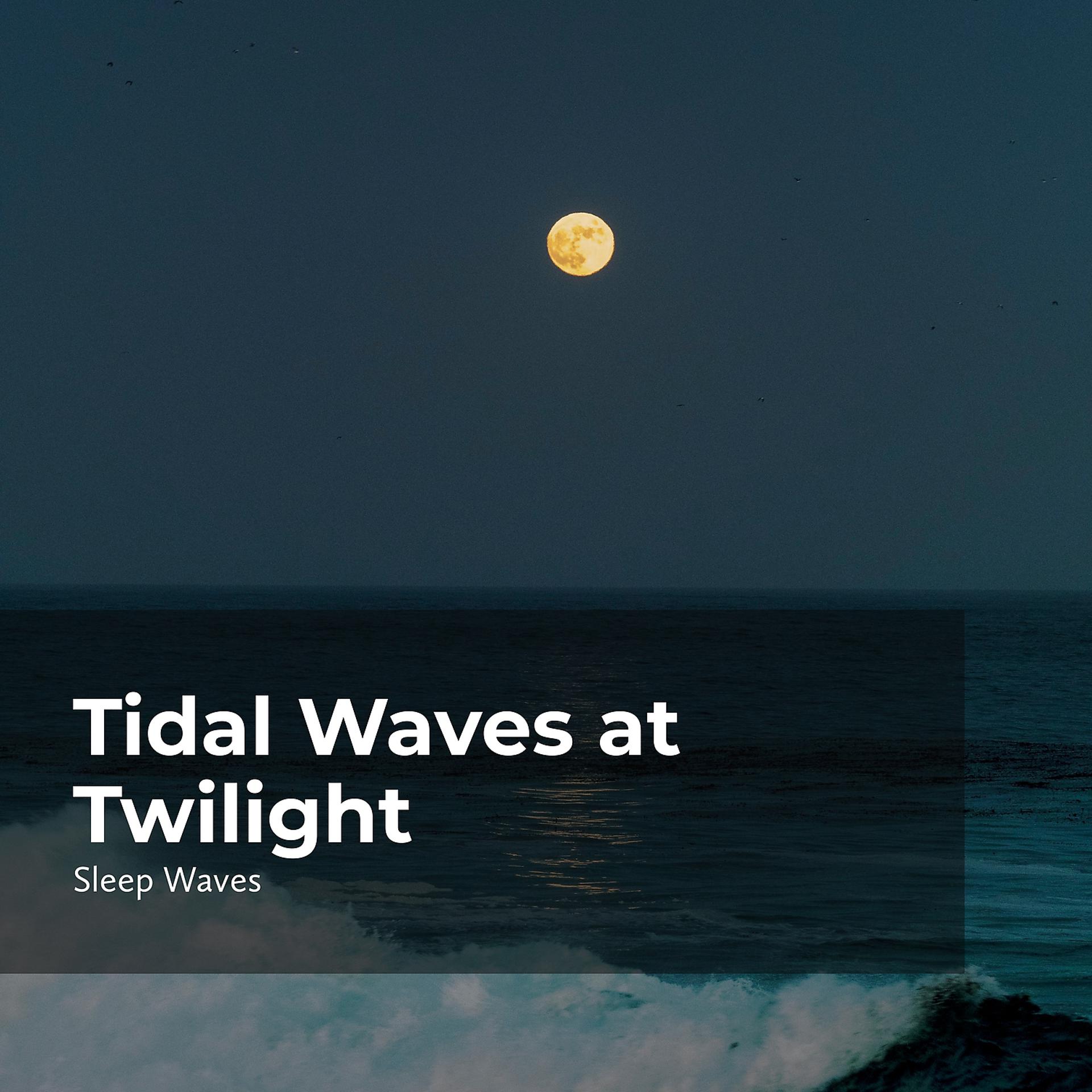 Постер альбома Tidal Waves at Twilight