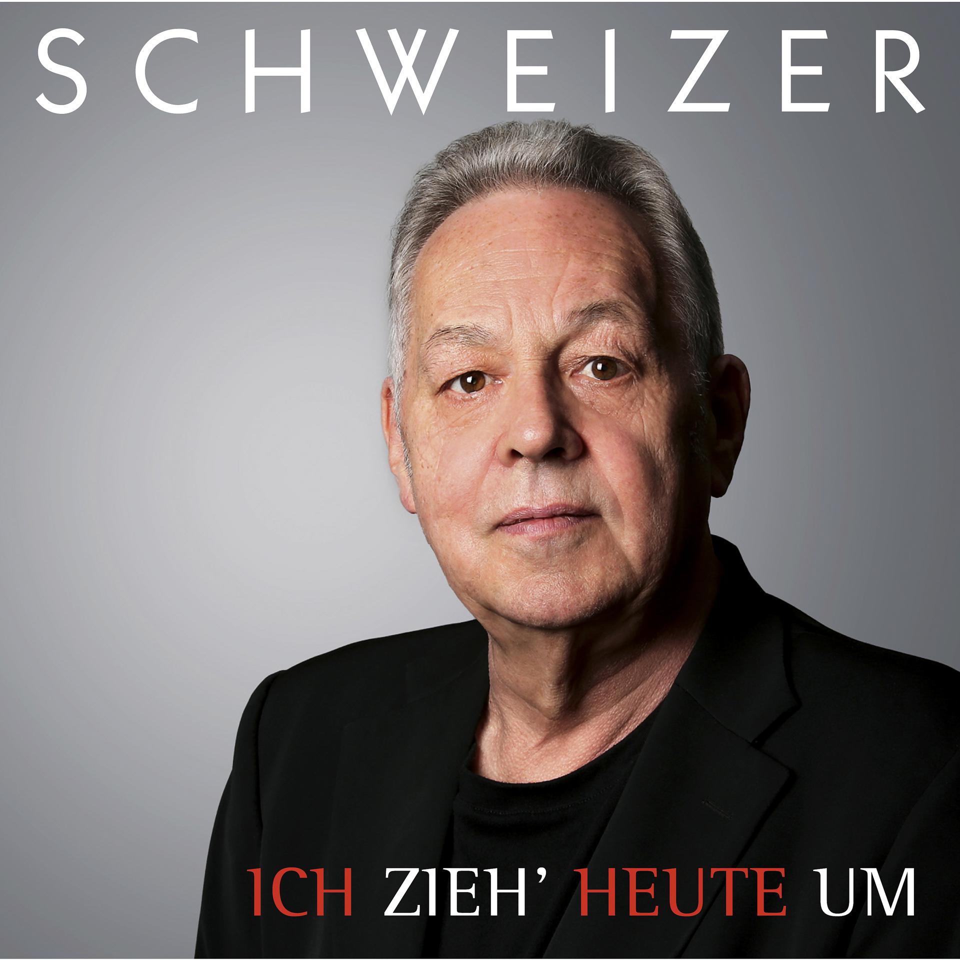 Постер альбома Ich zieh' heute um