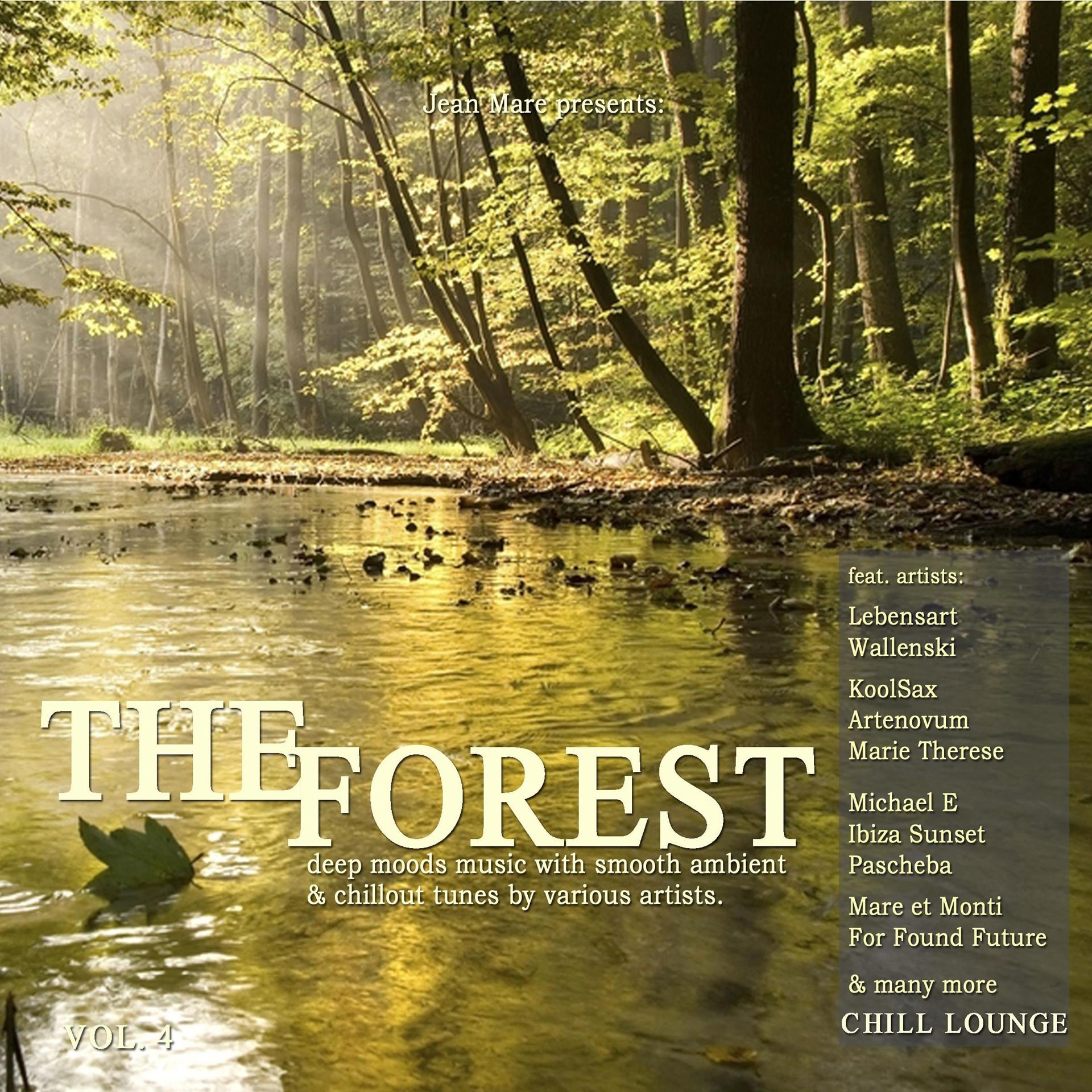 Постер альбома The Forest Chill Lounge, Vol. 4 (Deep Moods Music with Smooth Ambient & Chillout Tunes)