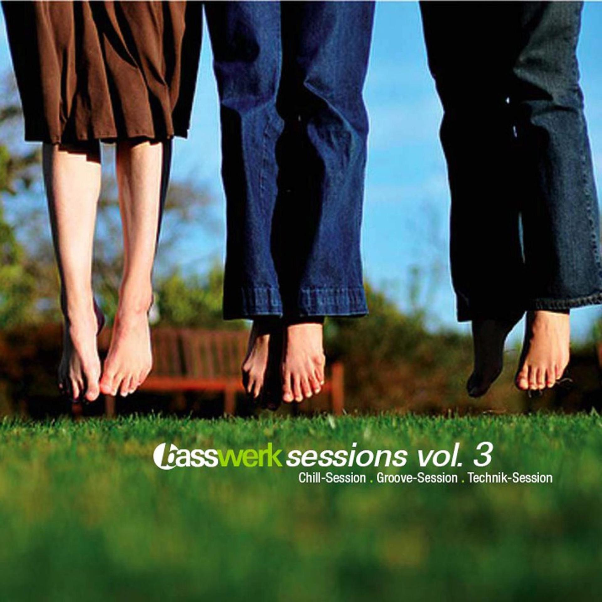 Постер альбома Basswerk Sessions, Vol. 3 (Cd3) Technik Session