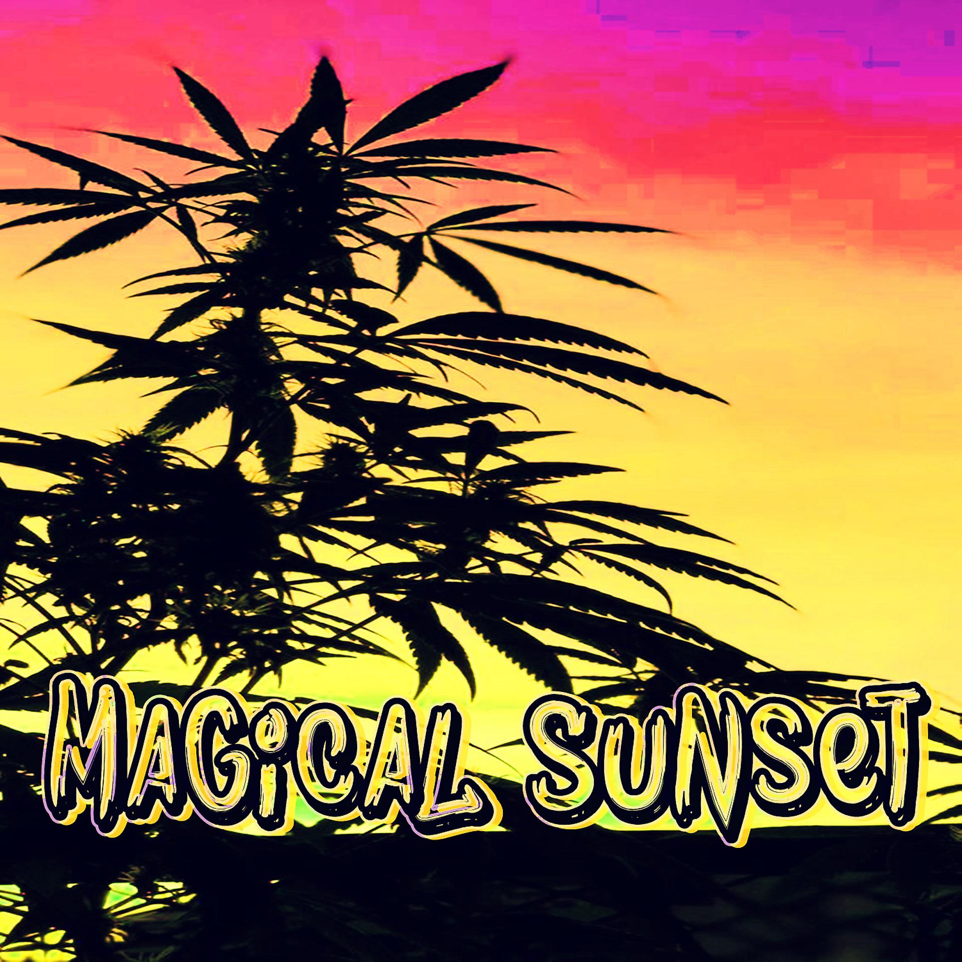 Постер альбома Magical Sunset