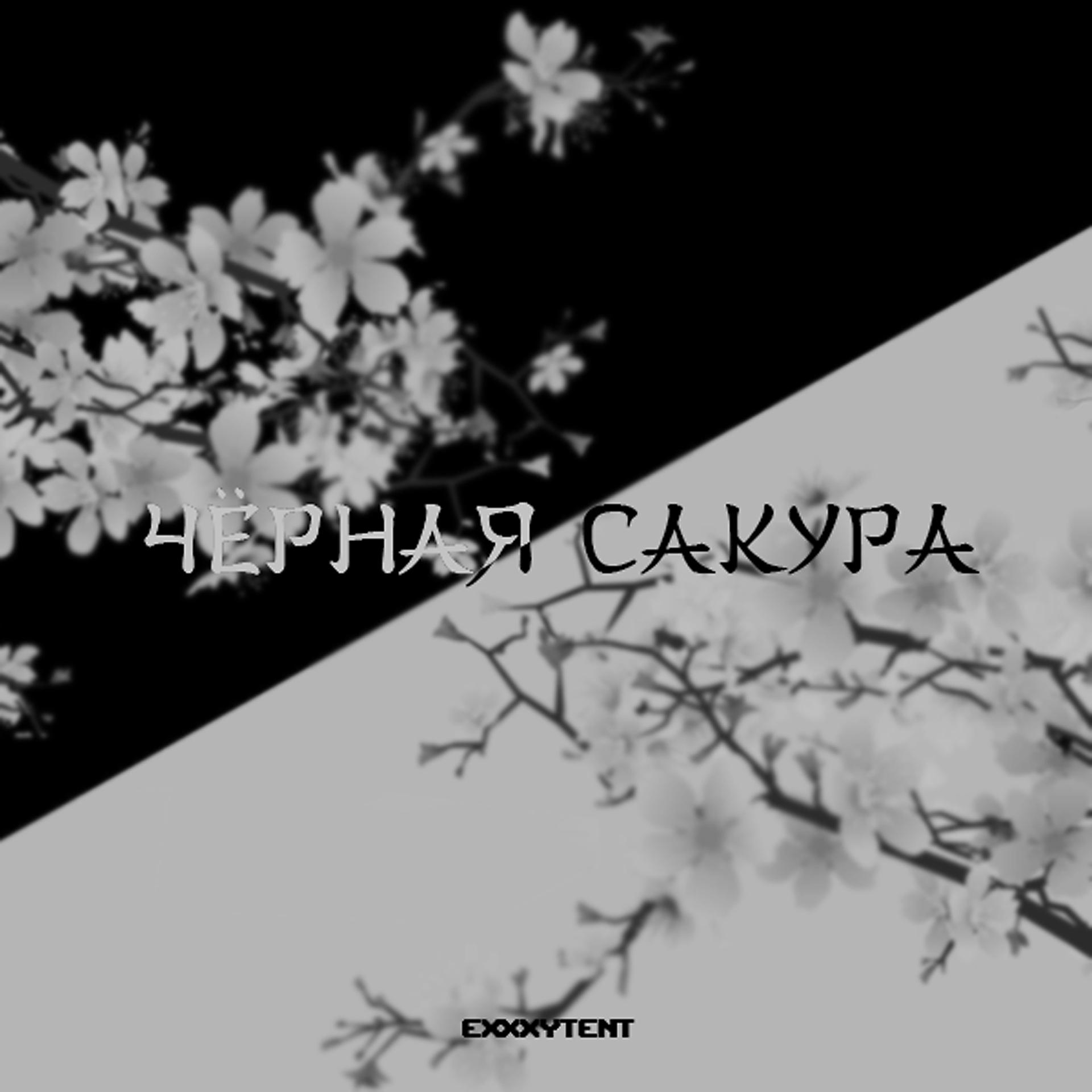 Постер альбома Black Sakura