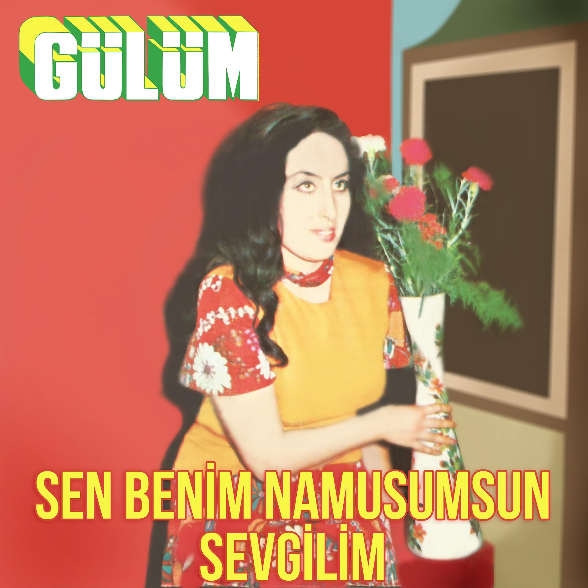 Постер альбома Sen Benim Namusumsun Sevgilim