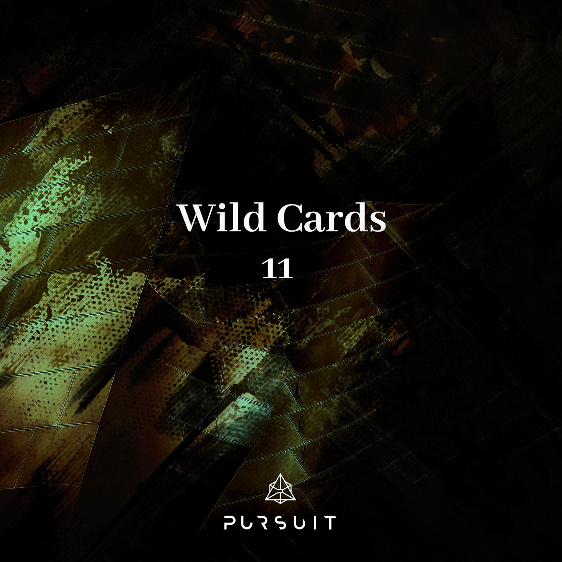 Постер альбома Wild Cards 11