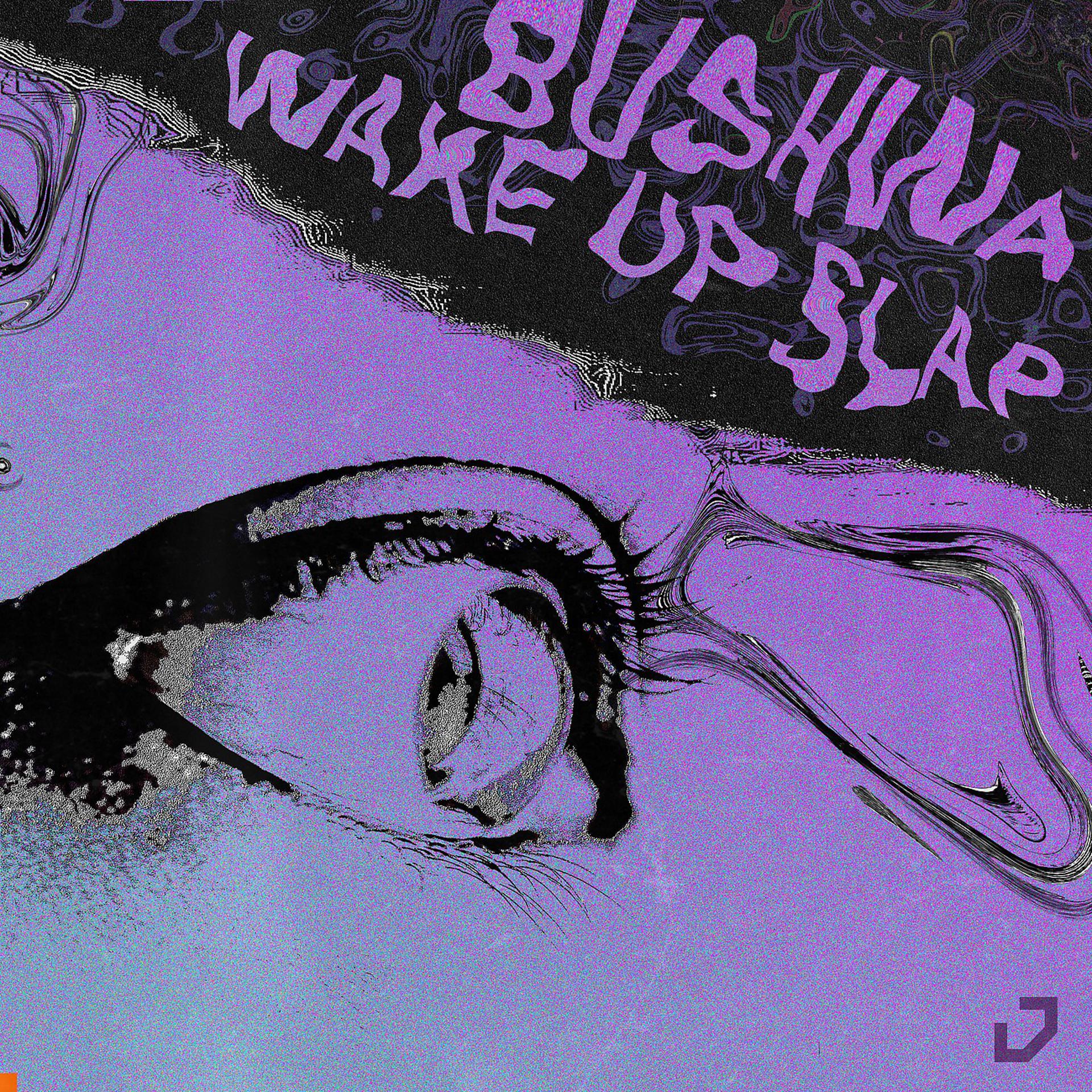 Постер альбома Bushwa / Wake Up Slap