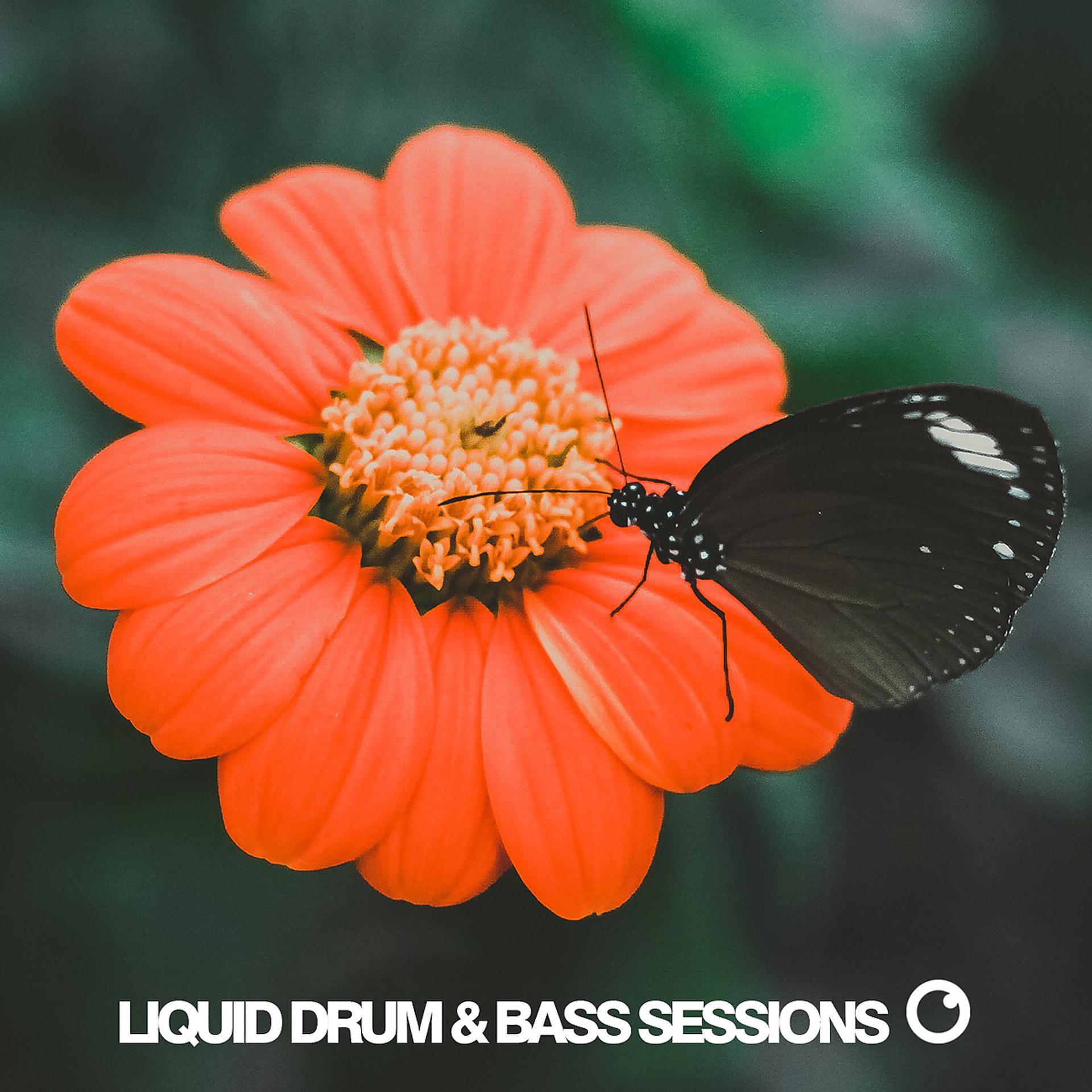 Постер альбома Liquid Drum & Bass Sessions 2019 Vol 5
