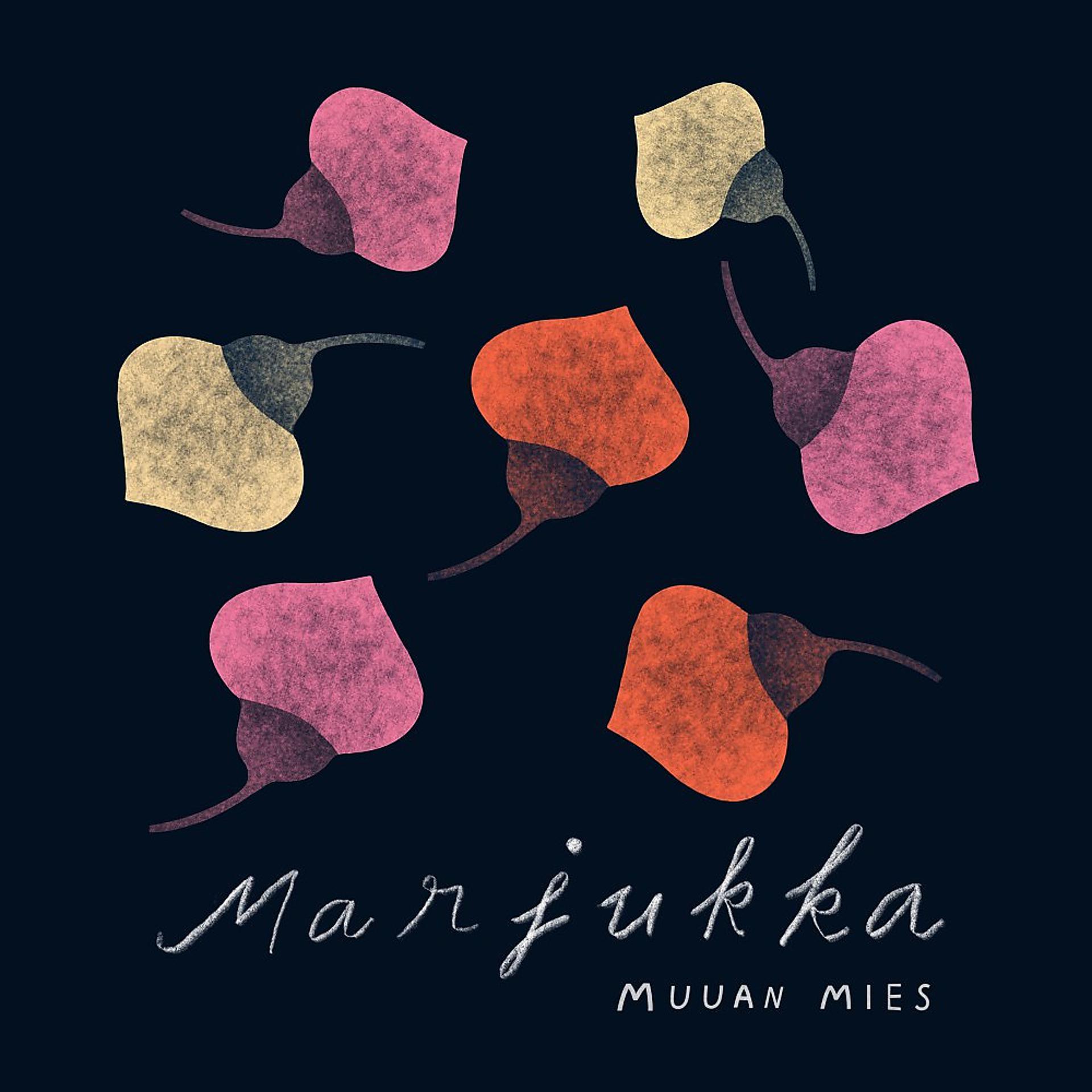 Постер альбома Marjukka