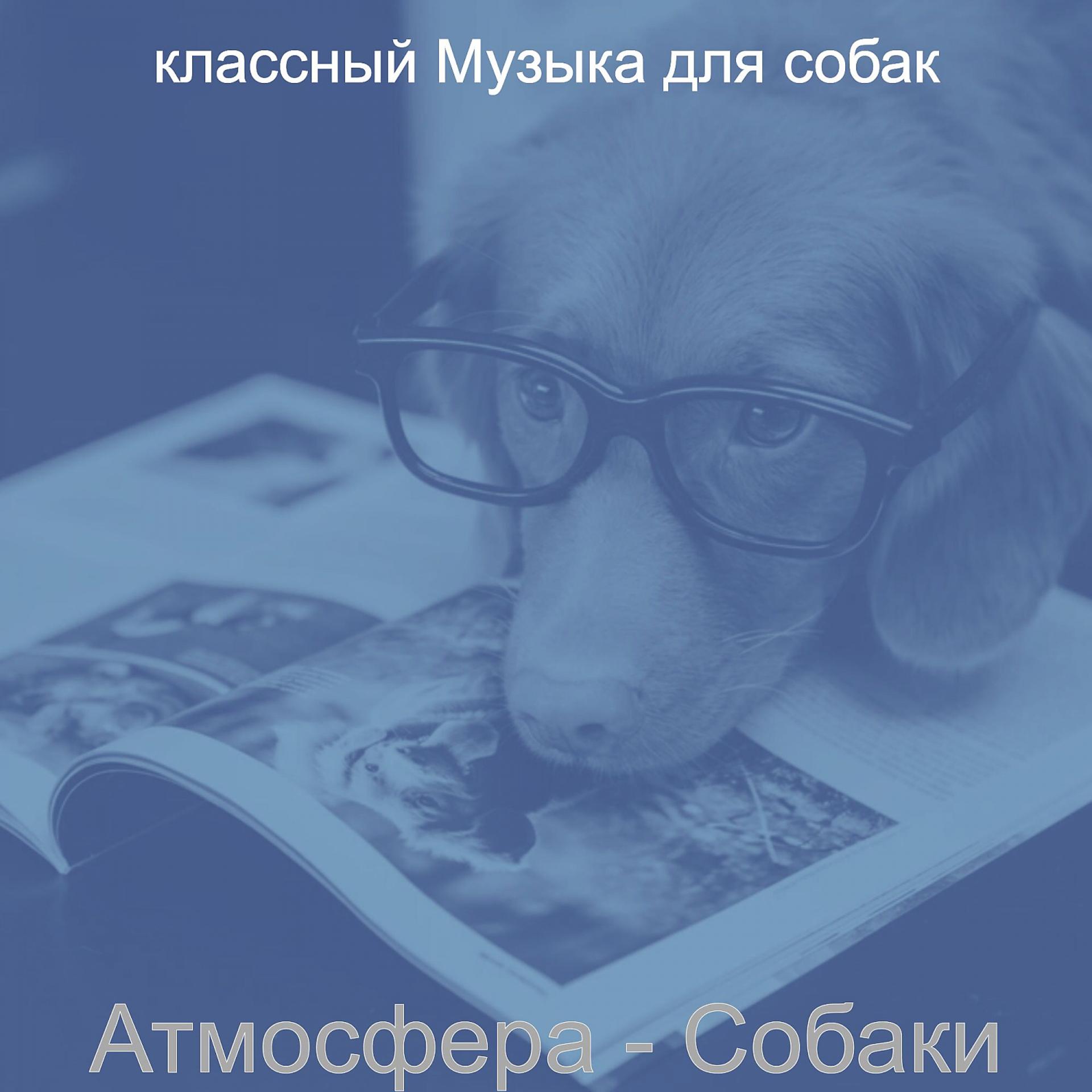 Постер альбома Атмосфера - Собаки