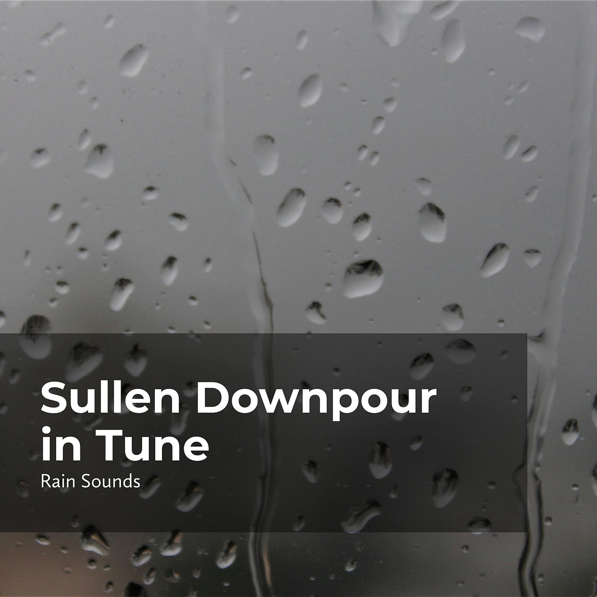 Постер альбома Sullen Downpour in Tune