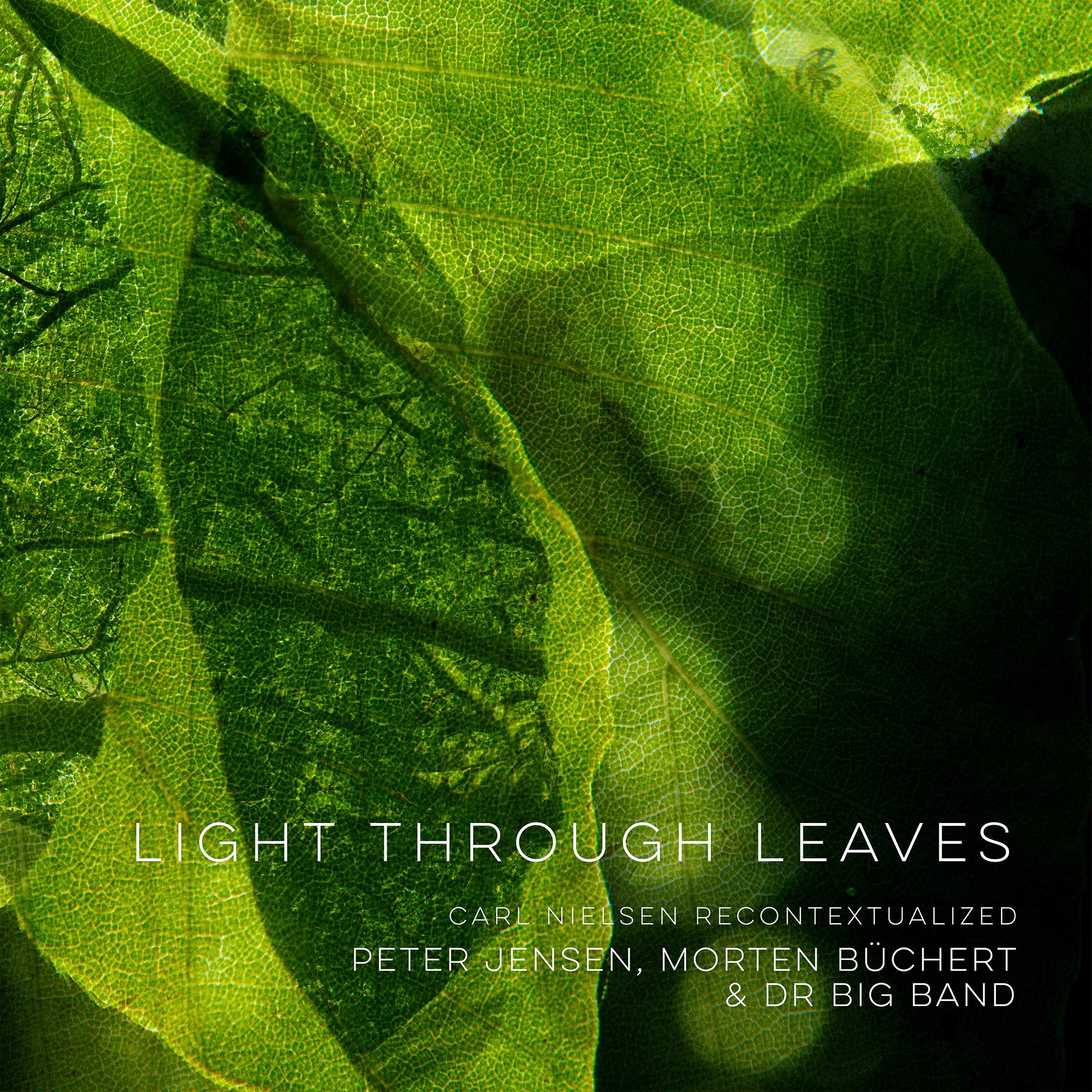 Постер альбома Light Through Leaves