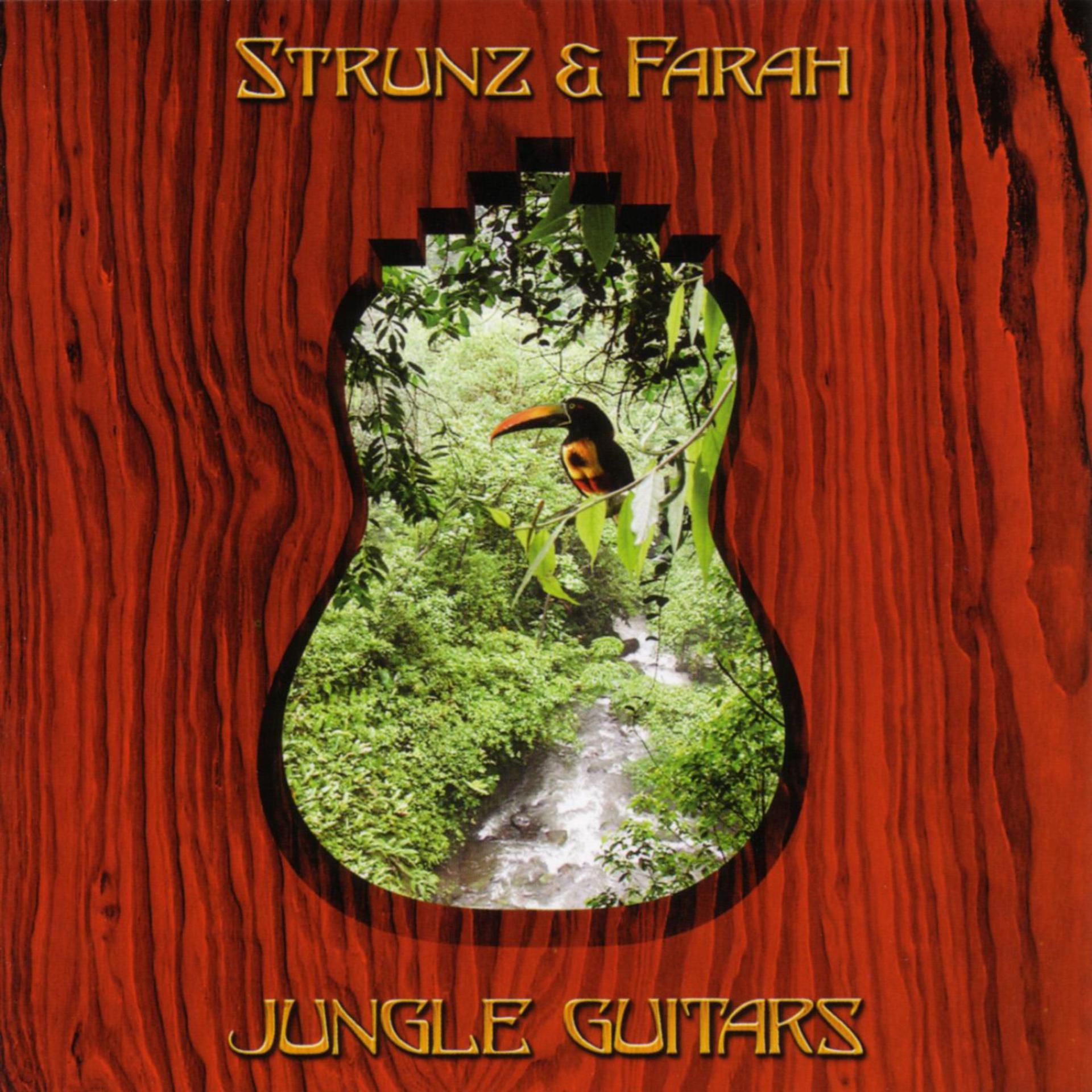 Постер альбома Jungle Guitars