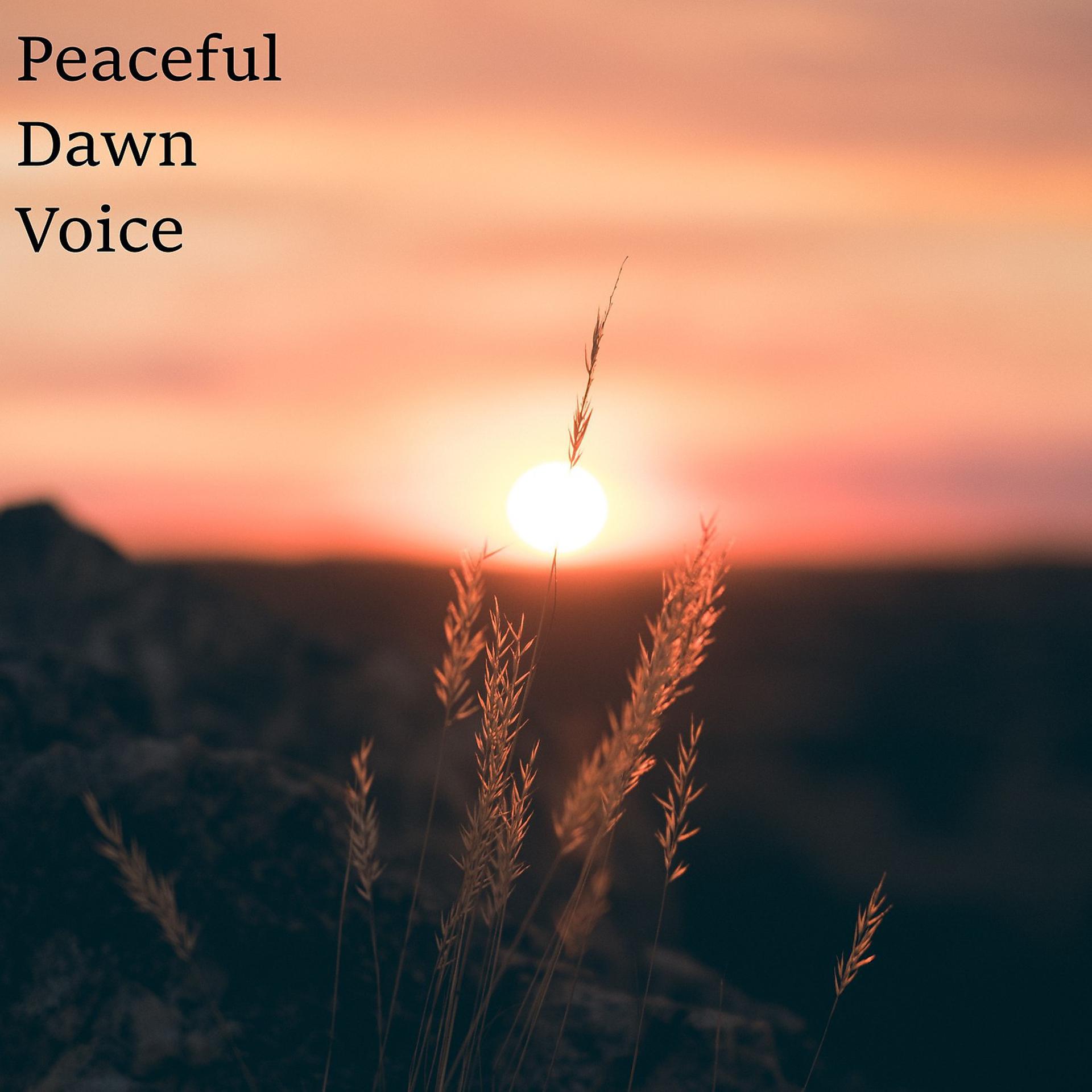 Постер альбома Peaceful Dawn Voice