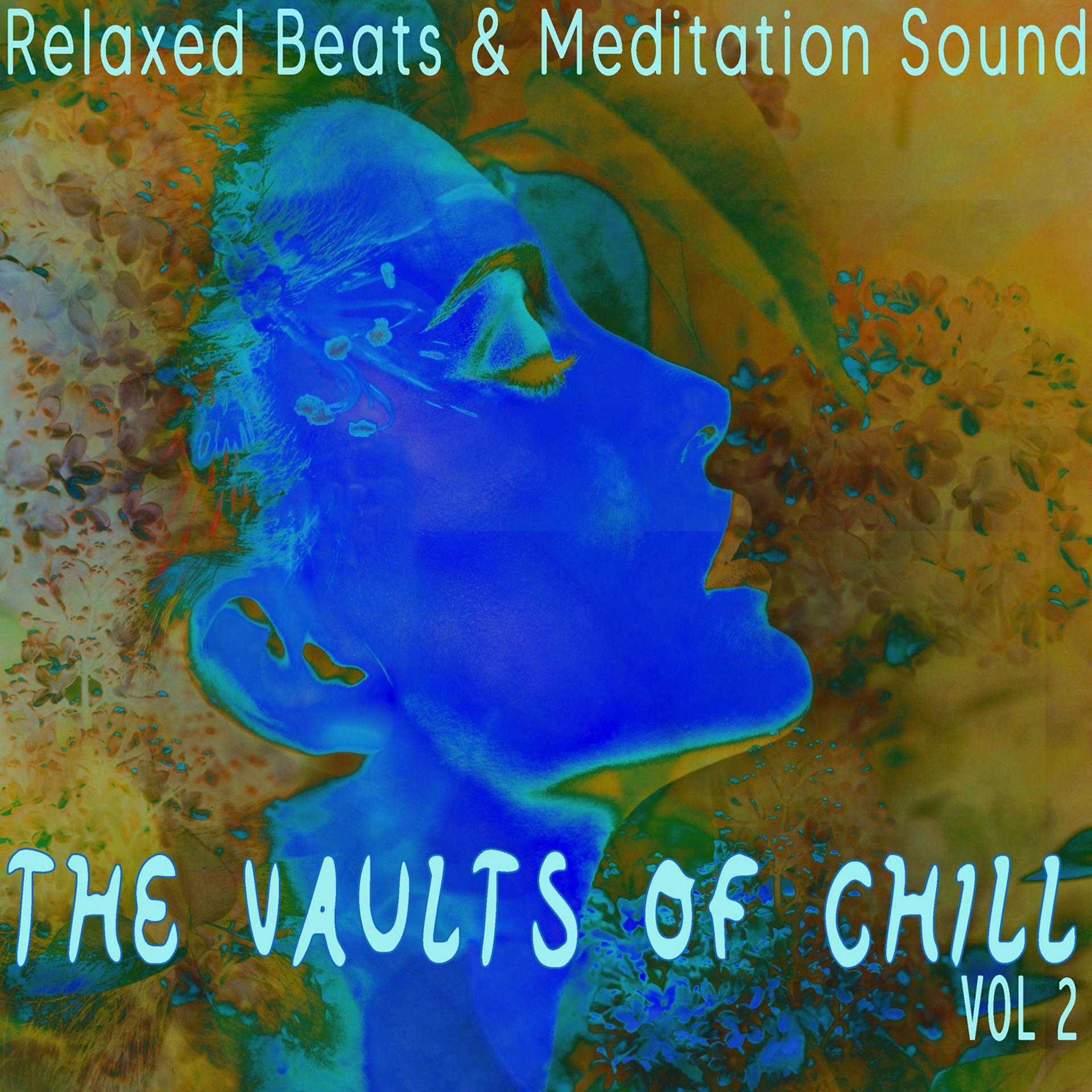 Постер альбома The Vaults of Chill, Vol. 2 - Relaxed Beats & Meditation Sounds