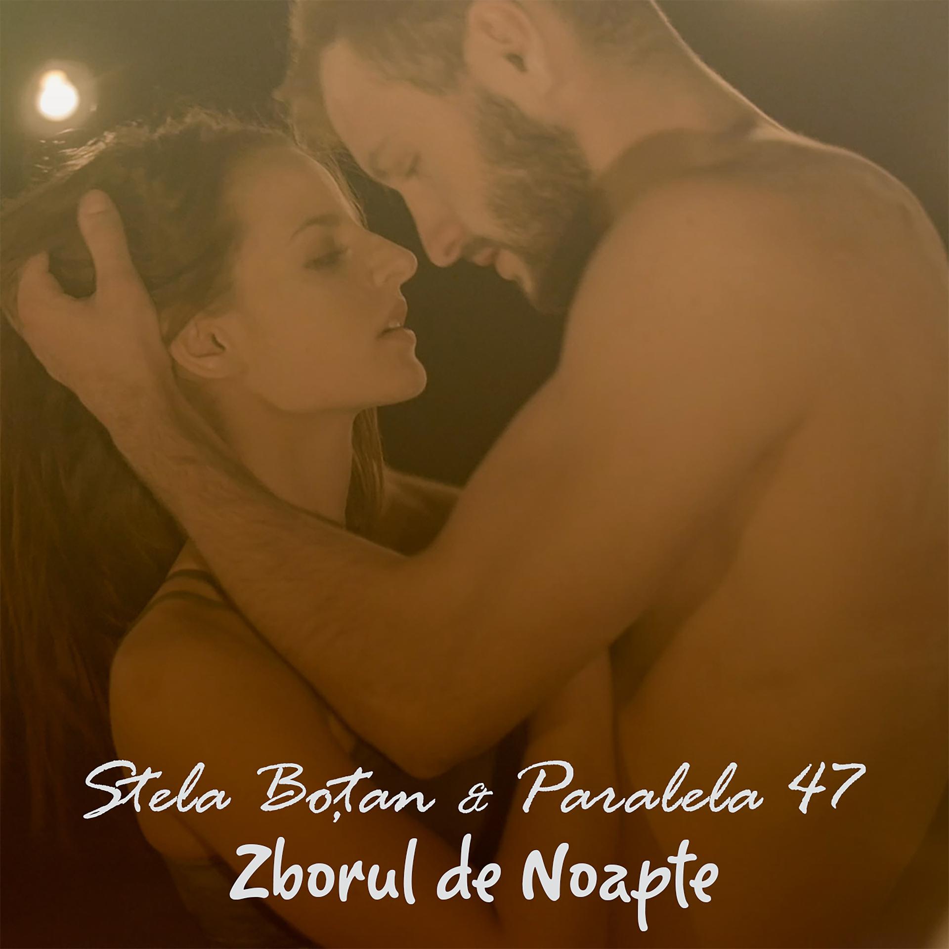 Постер альбома Zborul de noapte