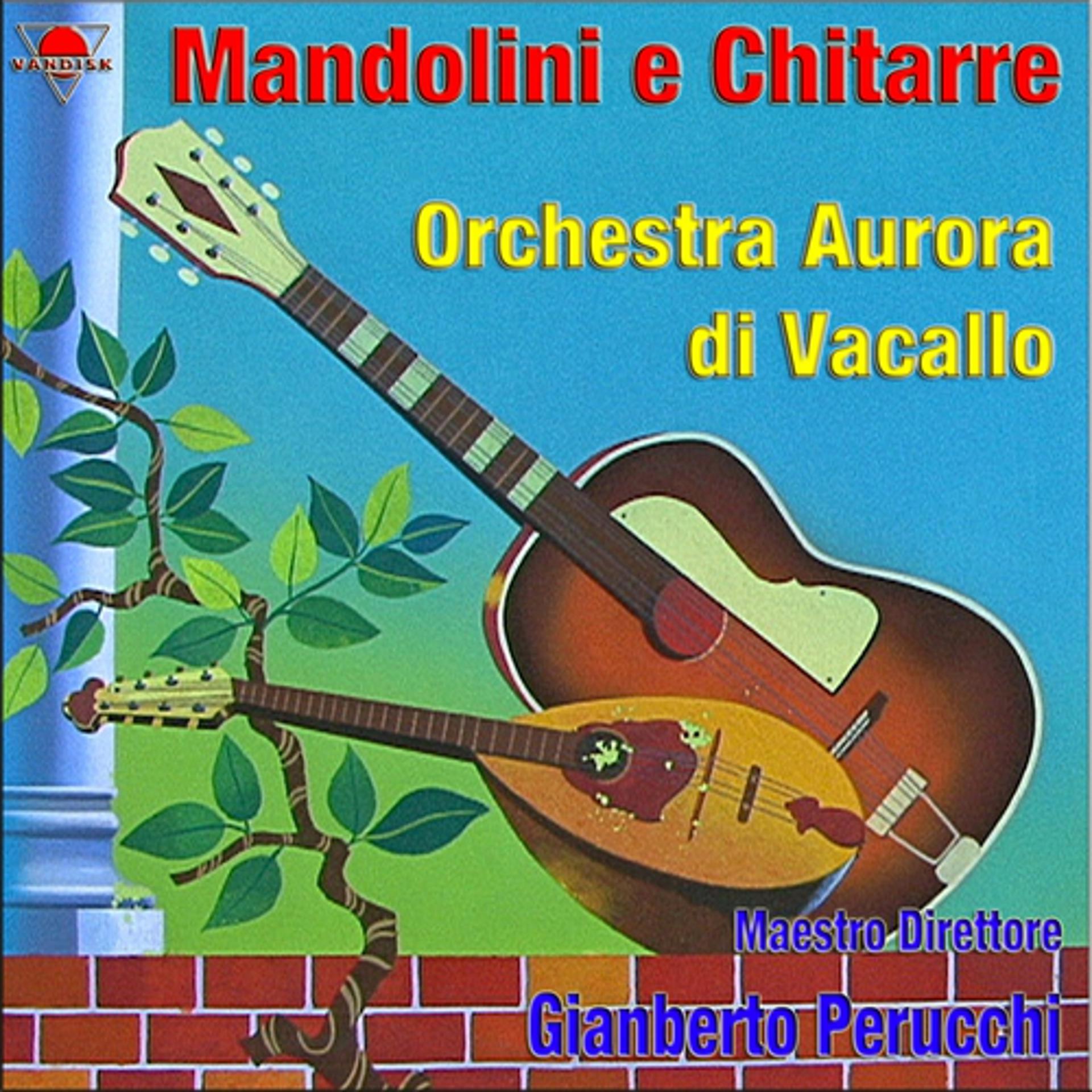 Постер альбома Mandolini e chitarre