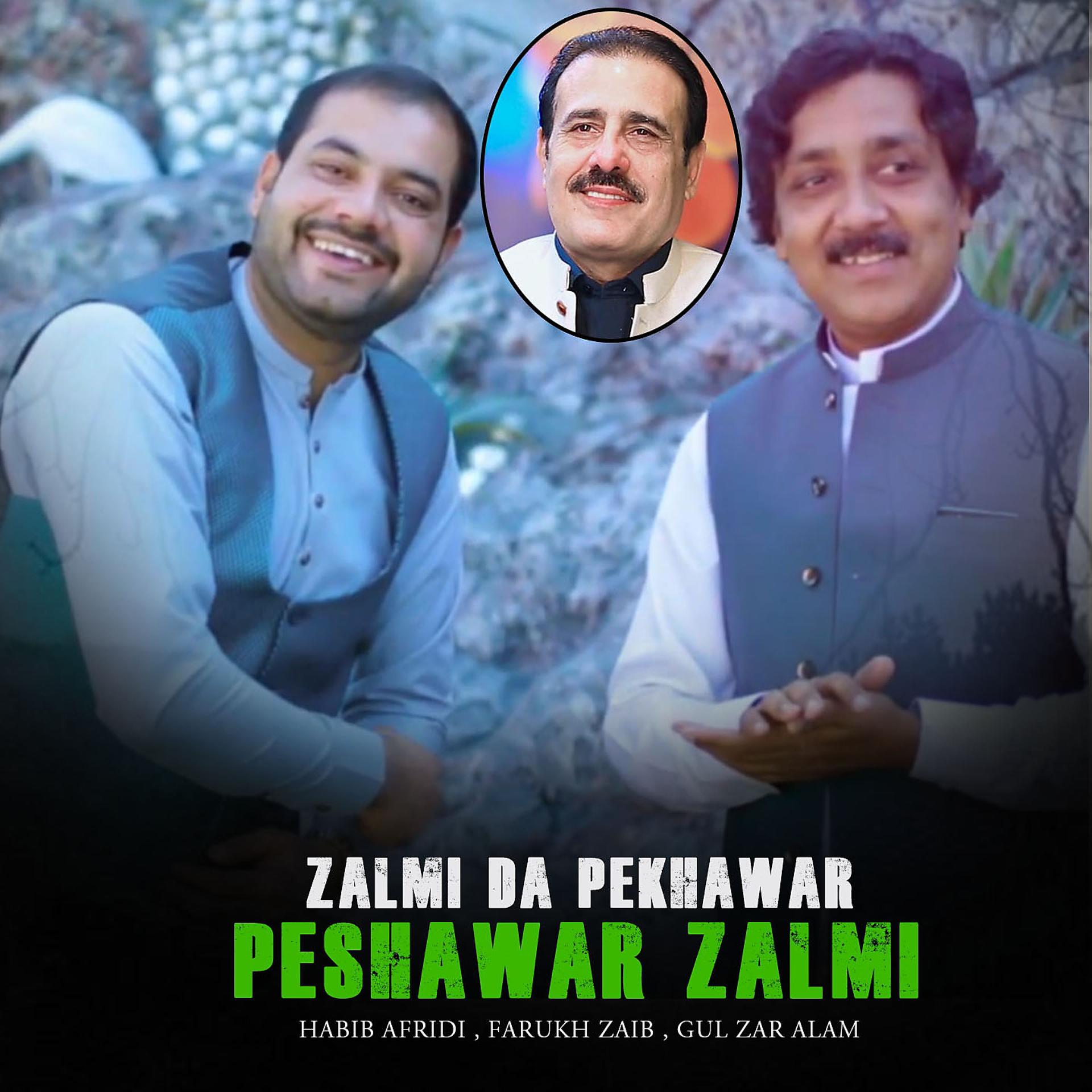 Постер альбома Zalmi Da Pekhawar Peshawar Zalmi