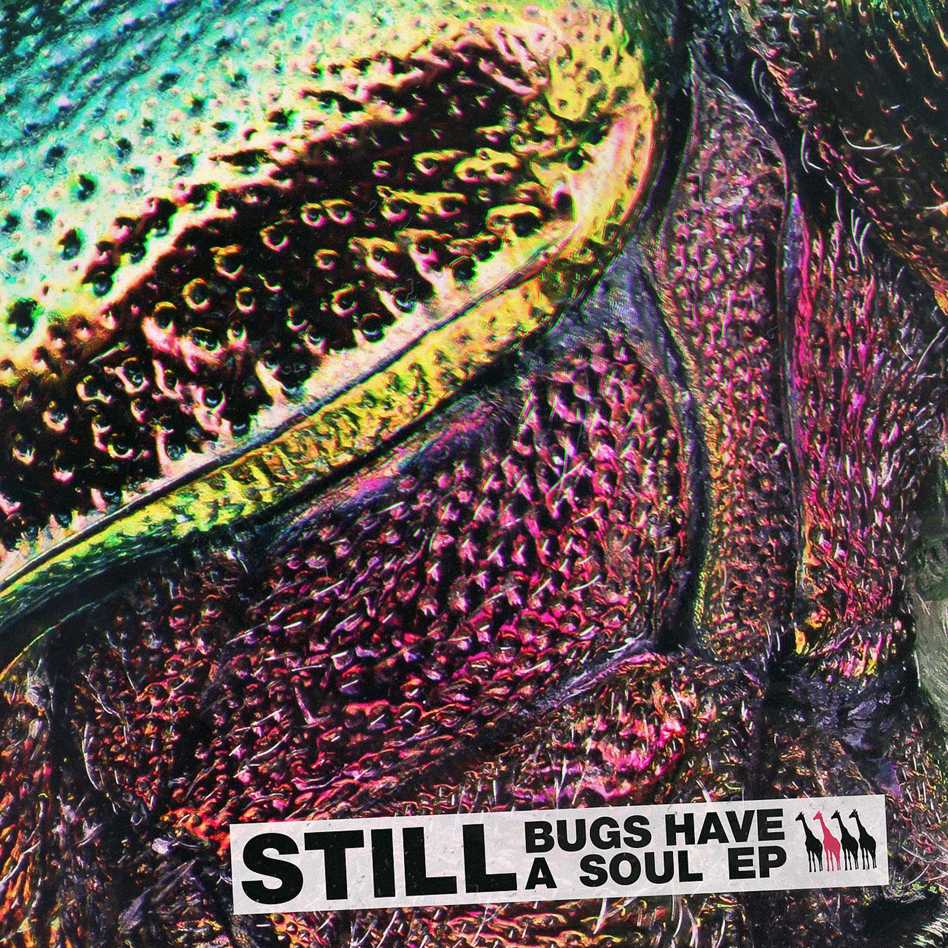 Постер альбома Bugs Have A Soul EP