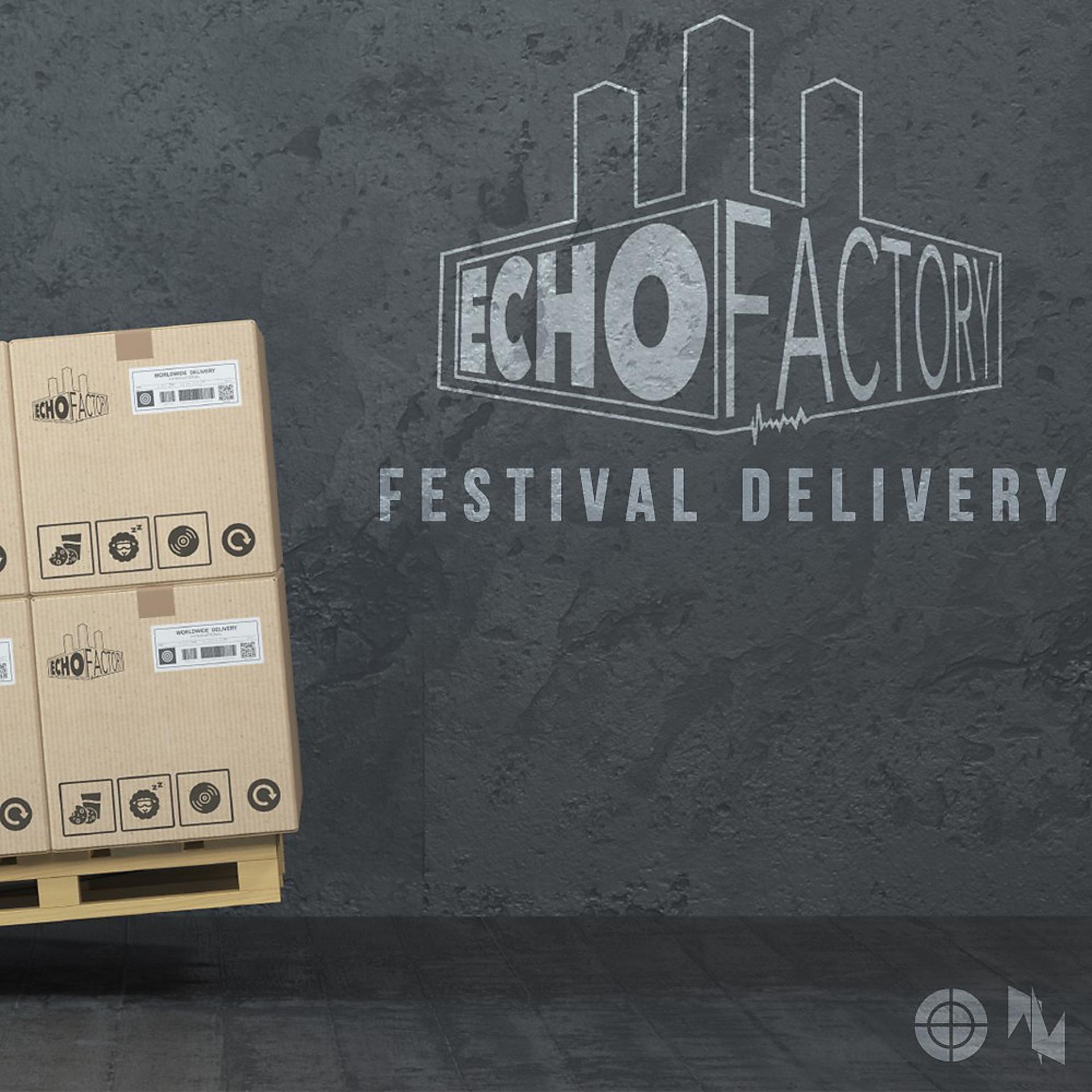 Постер альбома Festival Delivery by Echo Factory