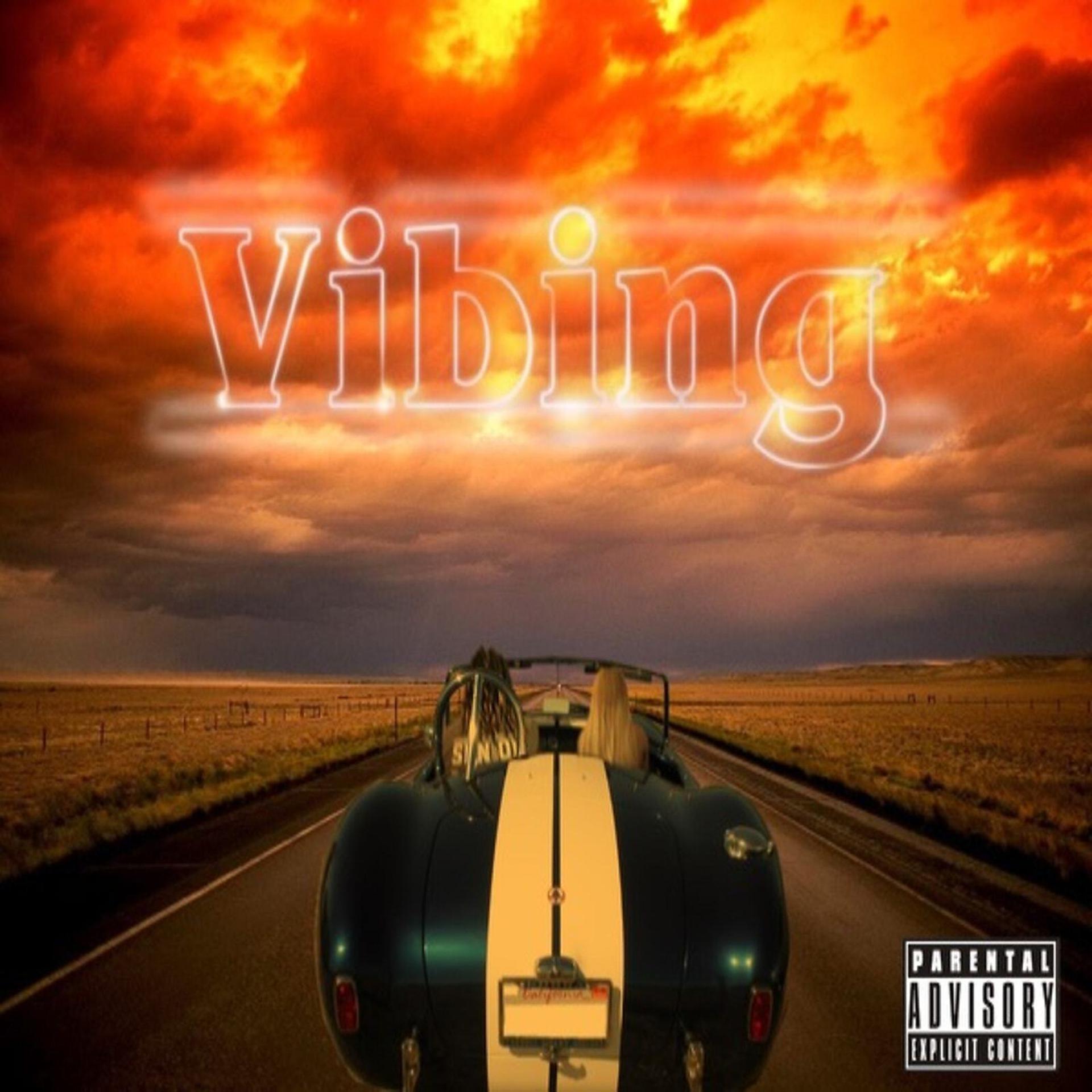 Постер альбома Vibing