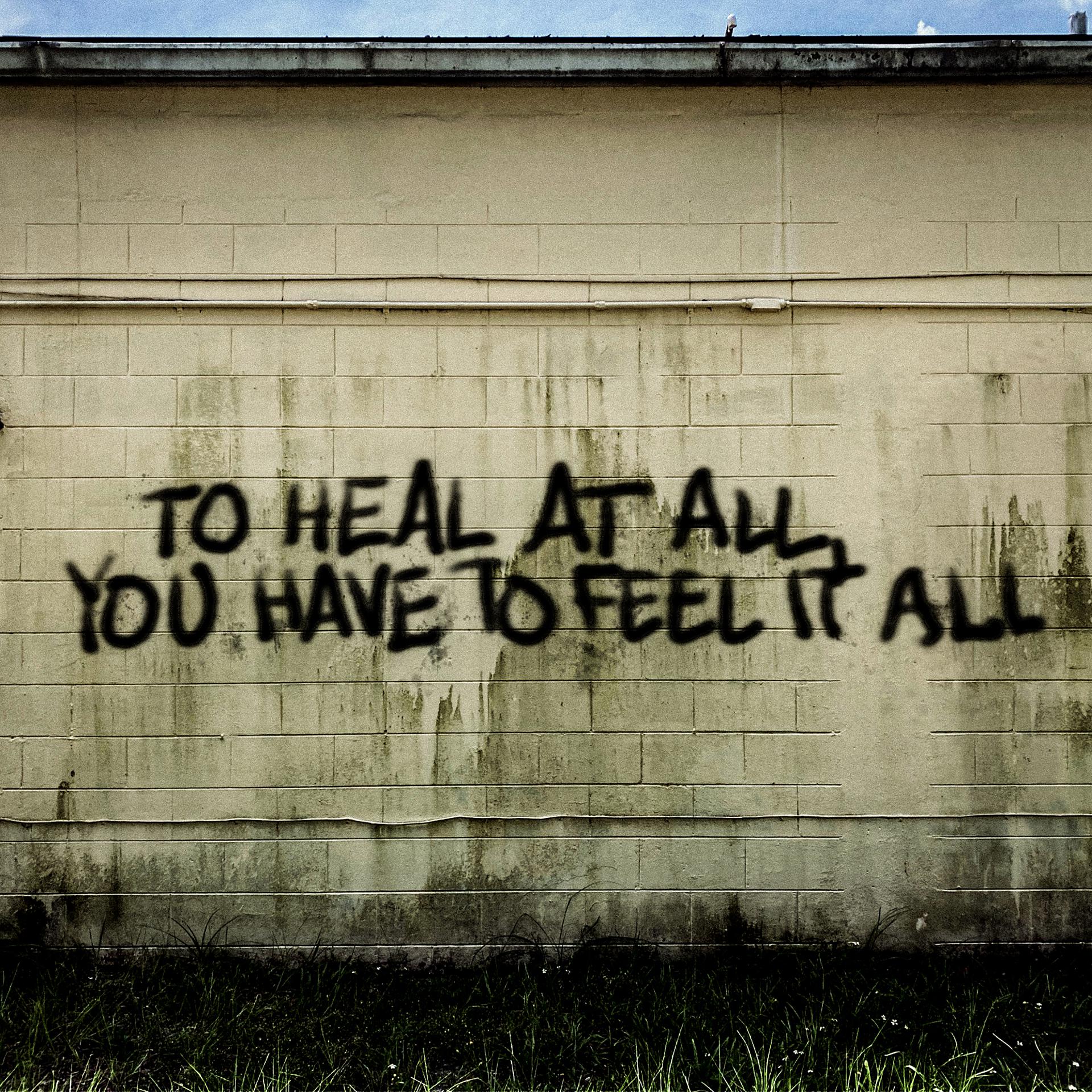Постер альбома To Heal at All, You Have to Feel It All