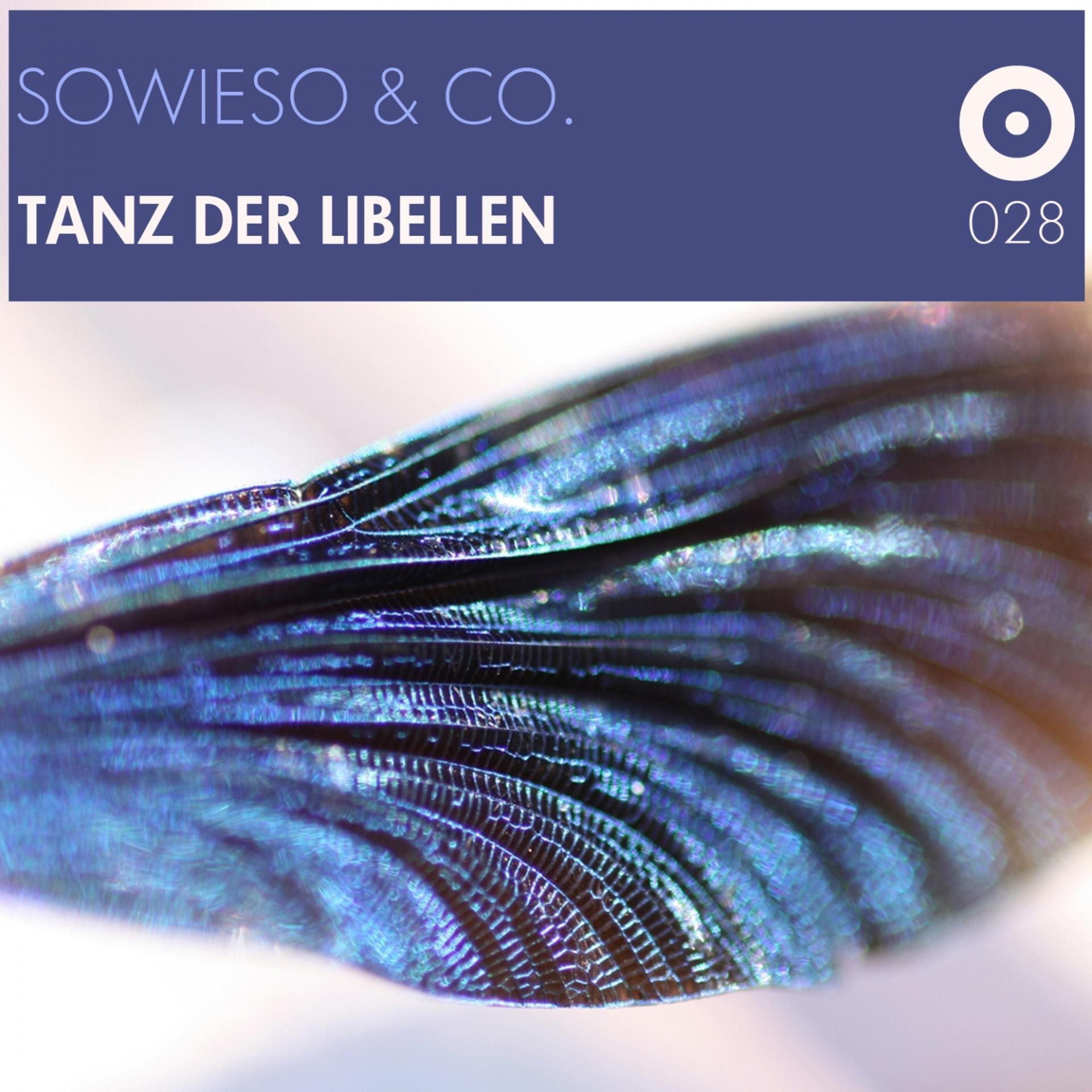 Постер альбома Tanz der Libellen