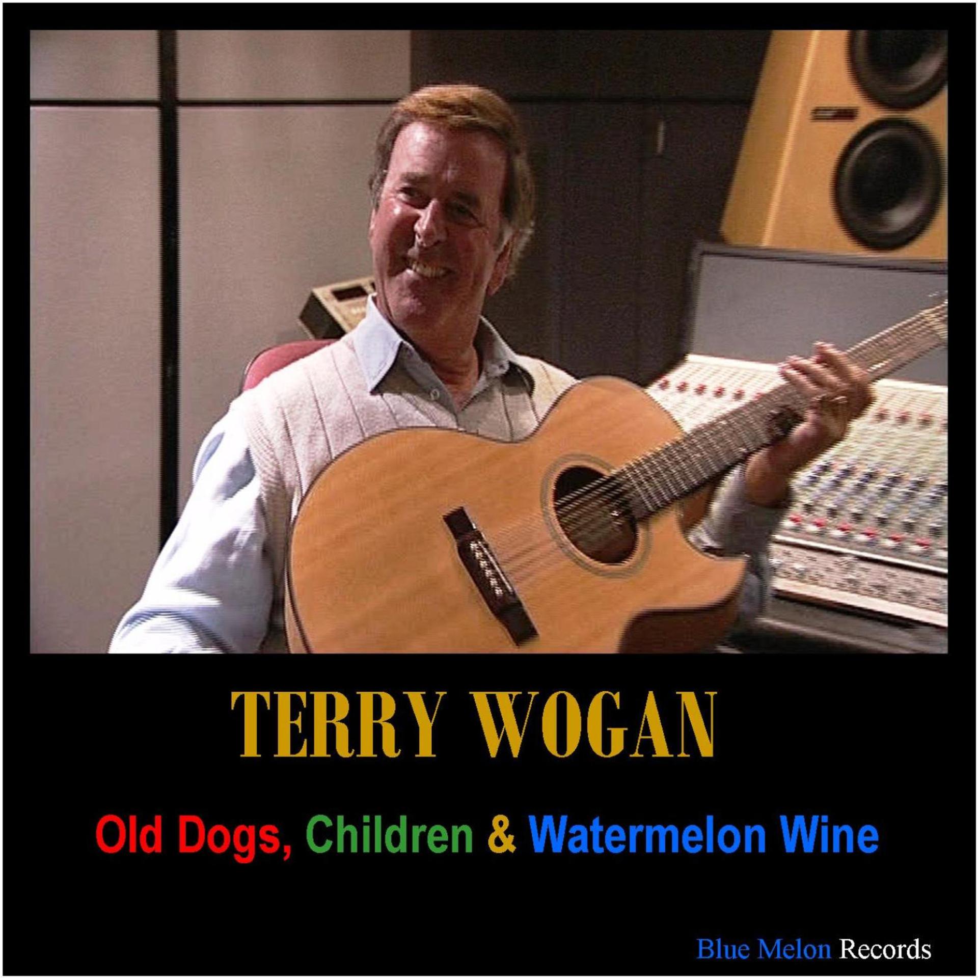 Постер альбома Old Dogs, Children & Watermelon Wine