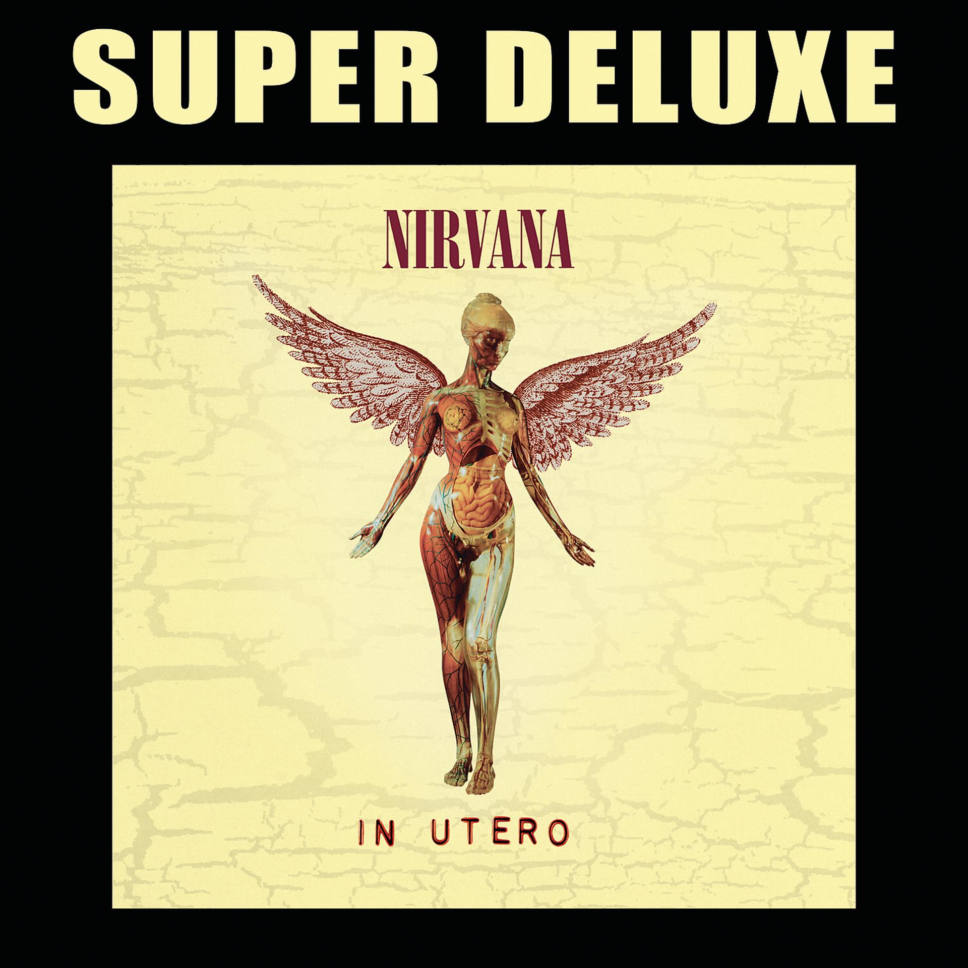 Постер альбома In Utero (Super Deluxe Edition)
