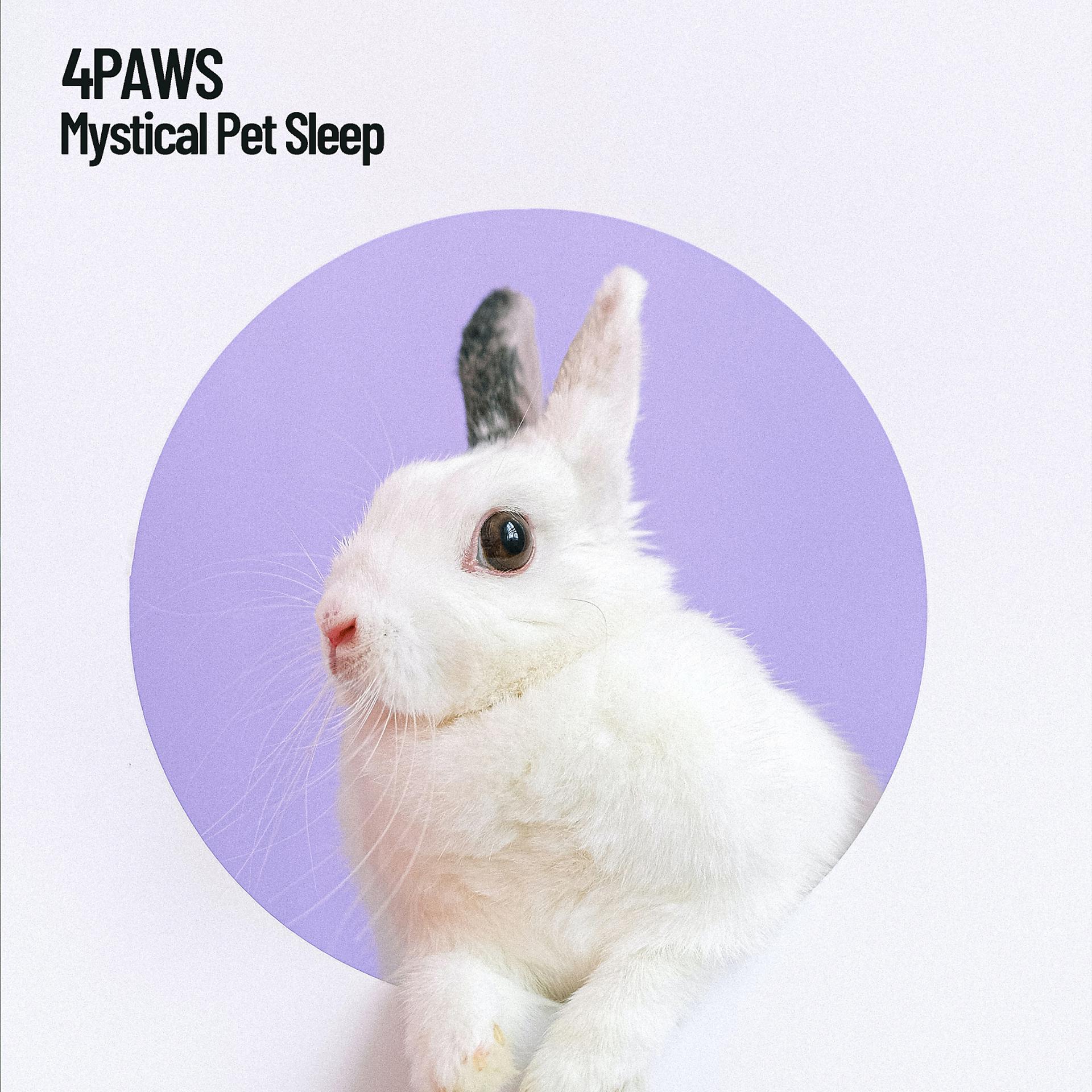 Постер альбома 4Paws: Mystical Pet Sleep