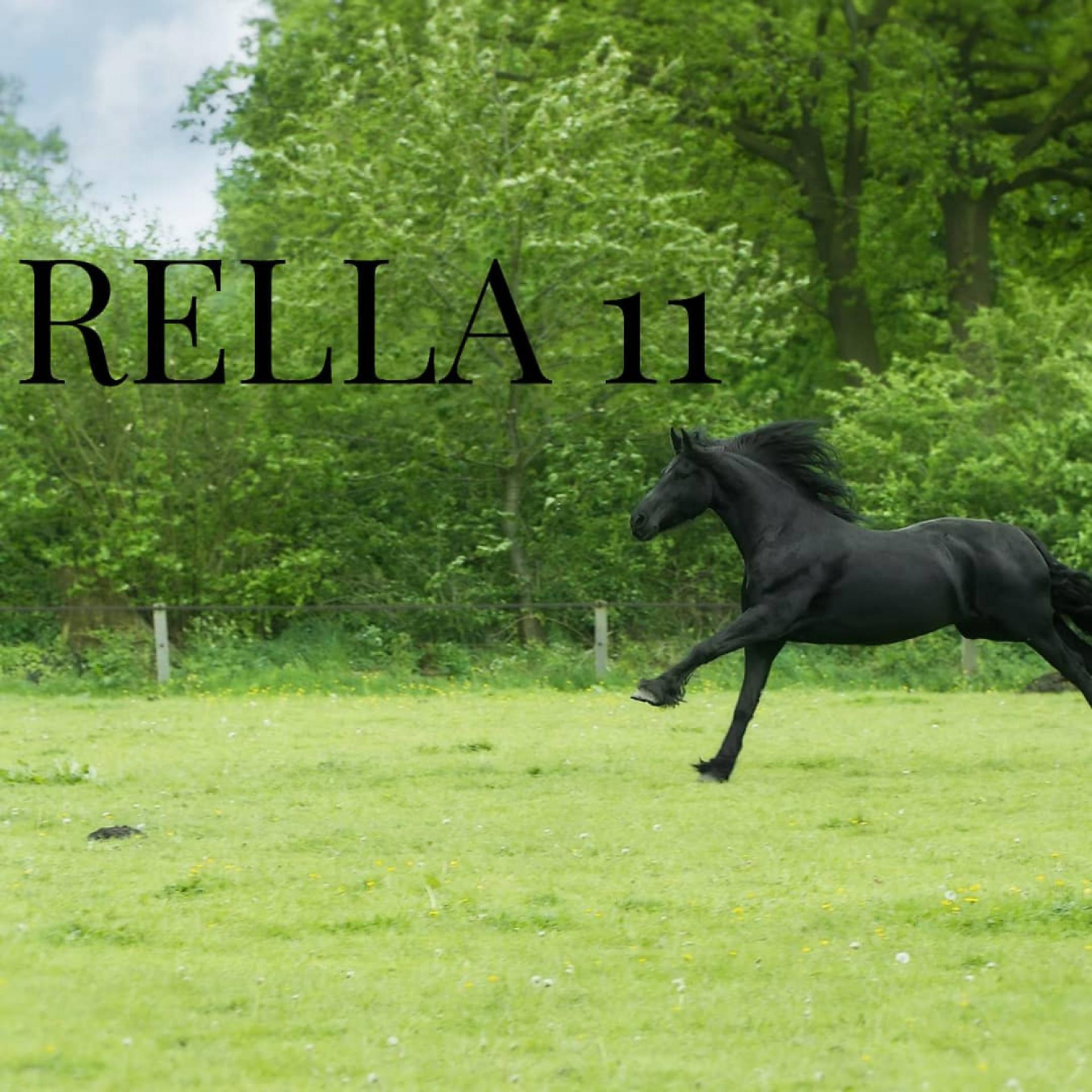 Постер альбома Rella 11
