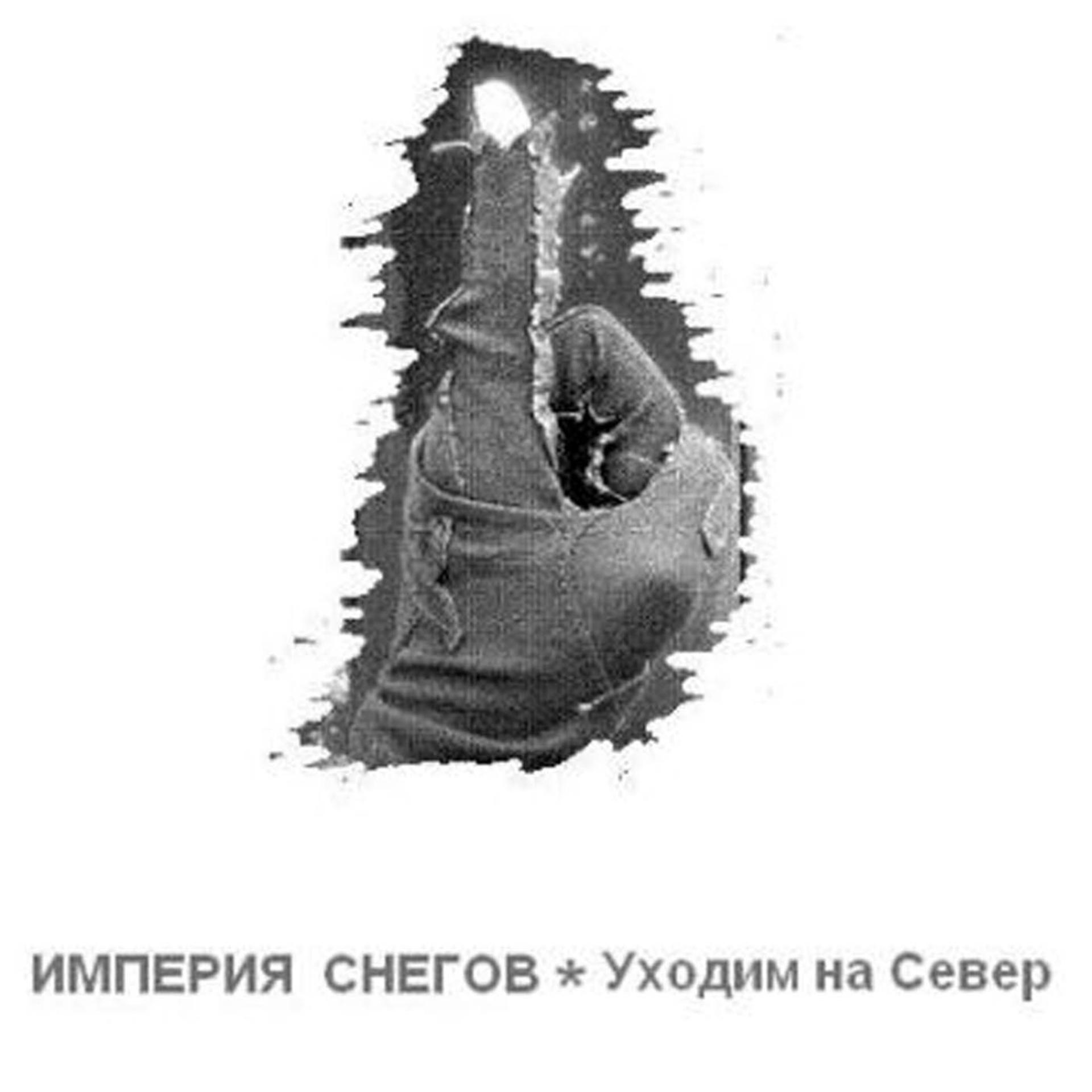 Постер альбома Ukhodim na sever (Уходим на север)