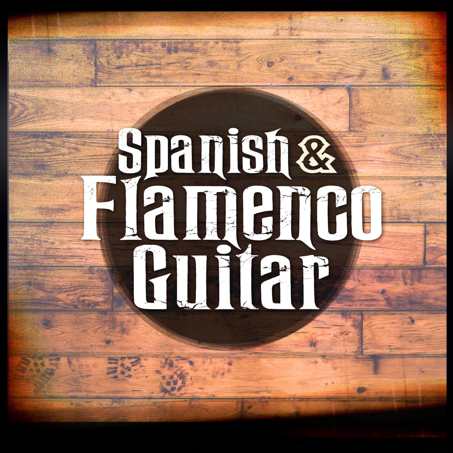Постер альбома Spanish & Flamenco Guitar