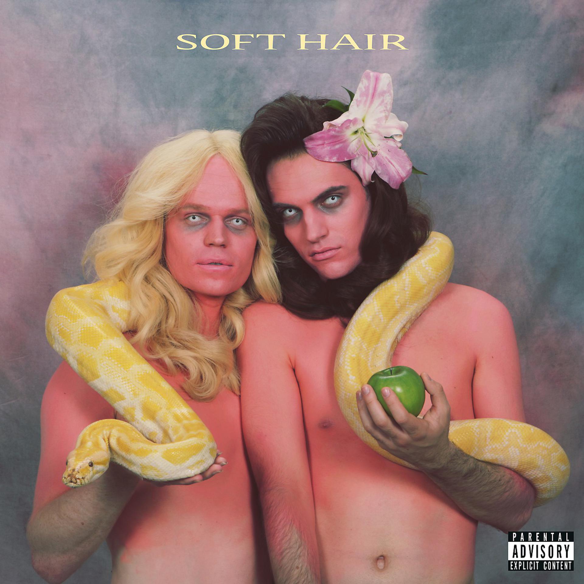 Постер альбома Soft Hair