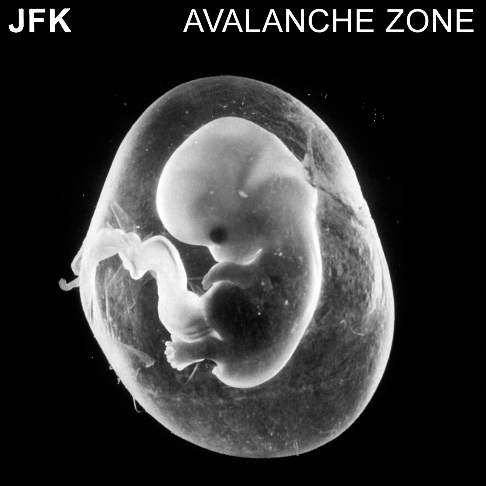 Постер альбома Avalanche Zone