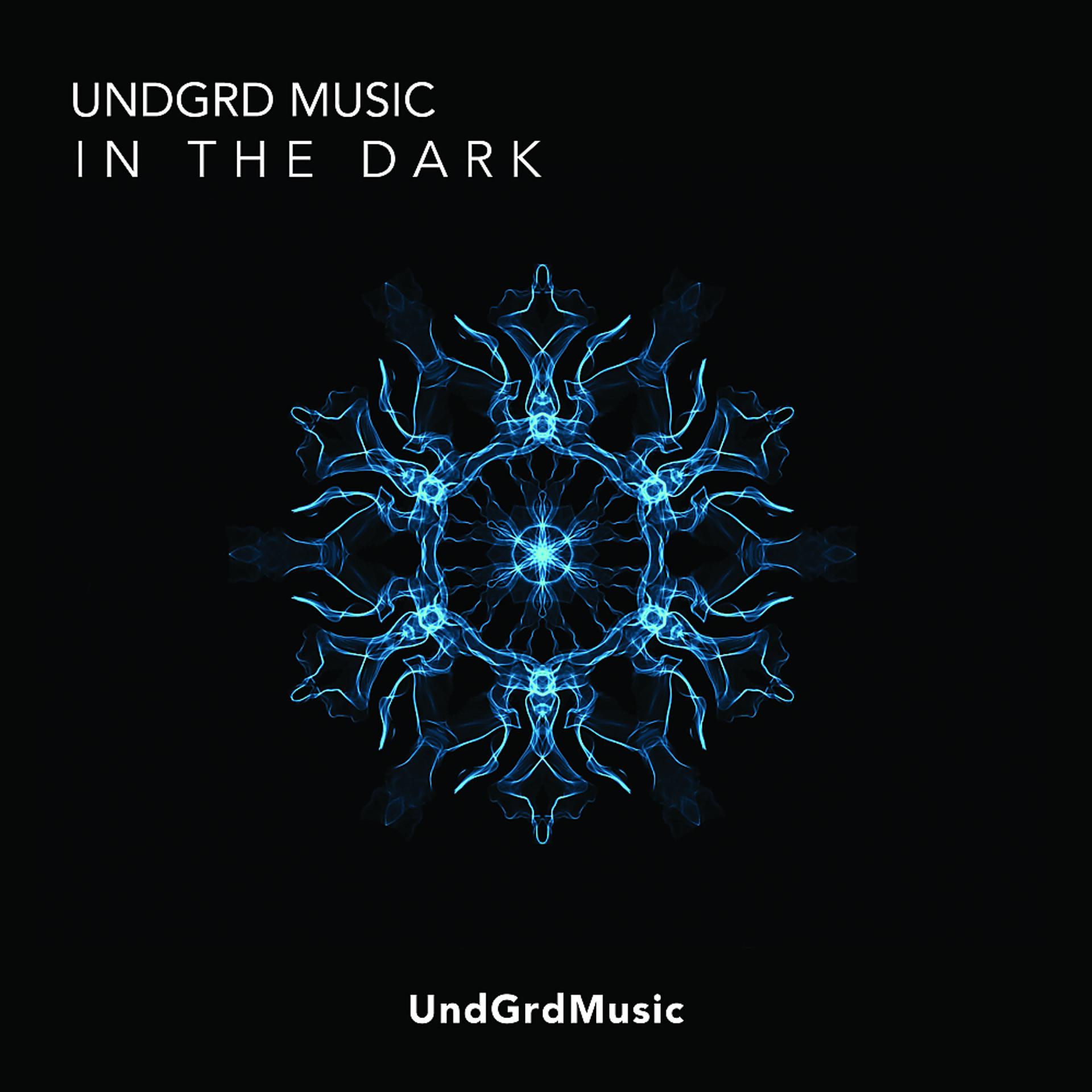 Постер альбома UndGrd Music In The Dark