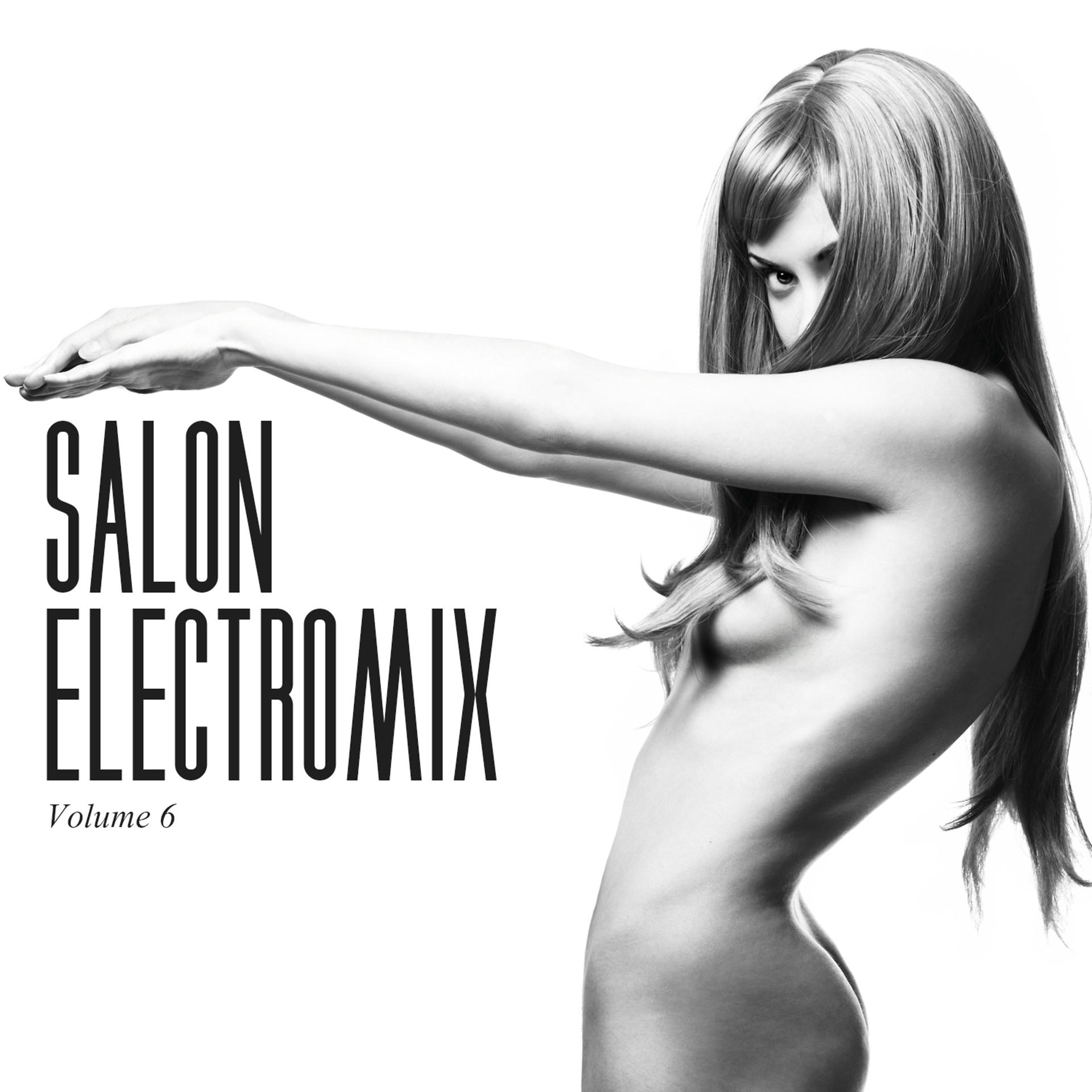 Постер альбома Salon Electromix, Vol. 6