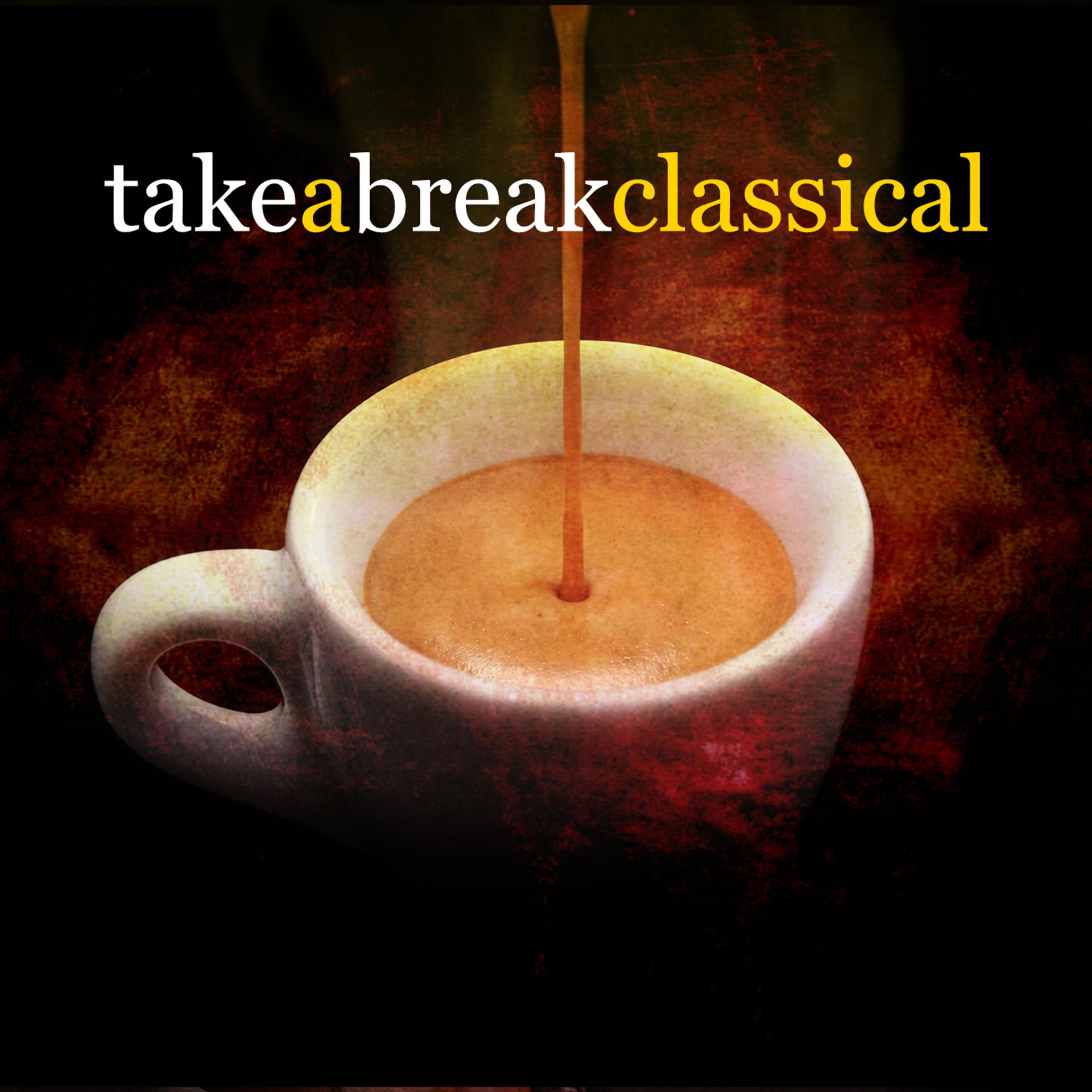 Постер альбома Take a Break Classical