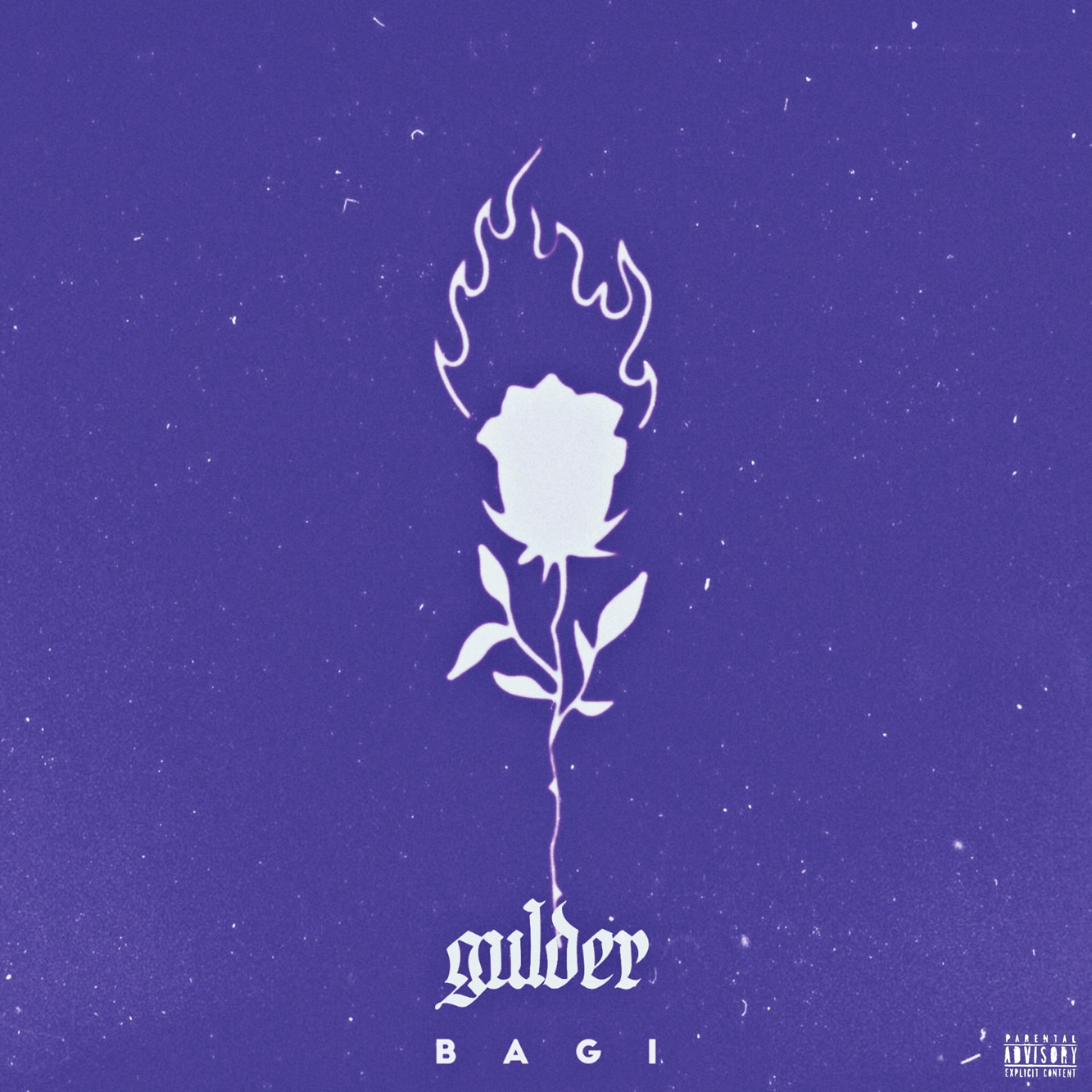 Постер альбома Gulder