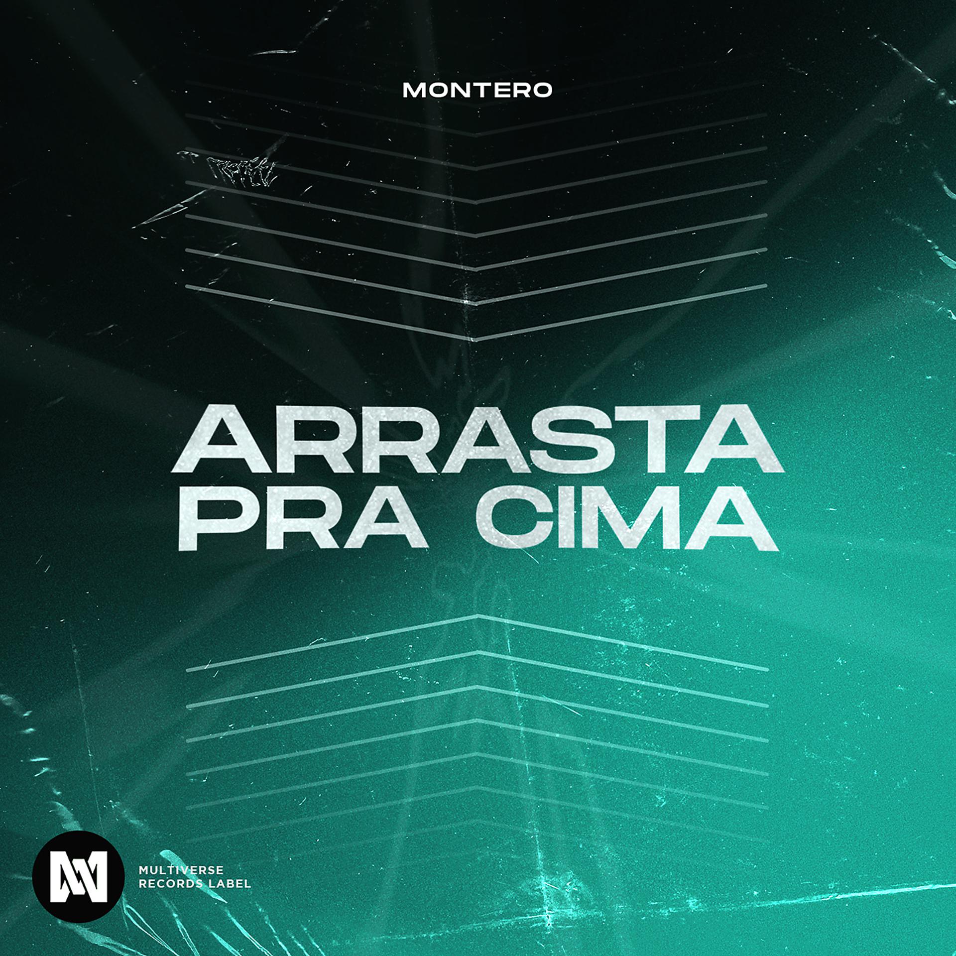 Постер альбома Arrasta pra cima
