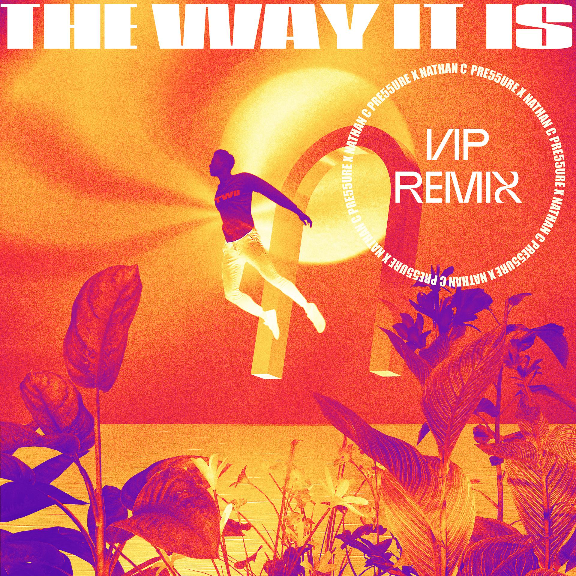 Постер альбома The Way It Is (VIP Mix)