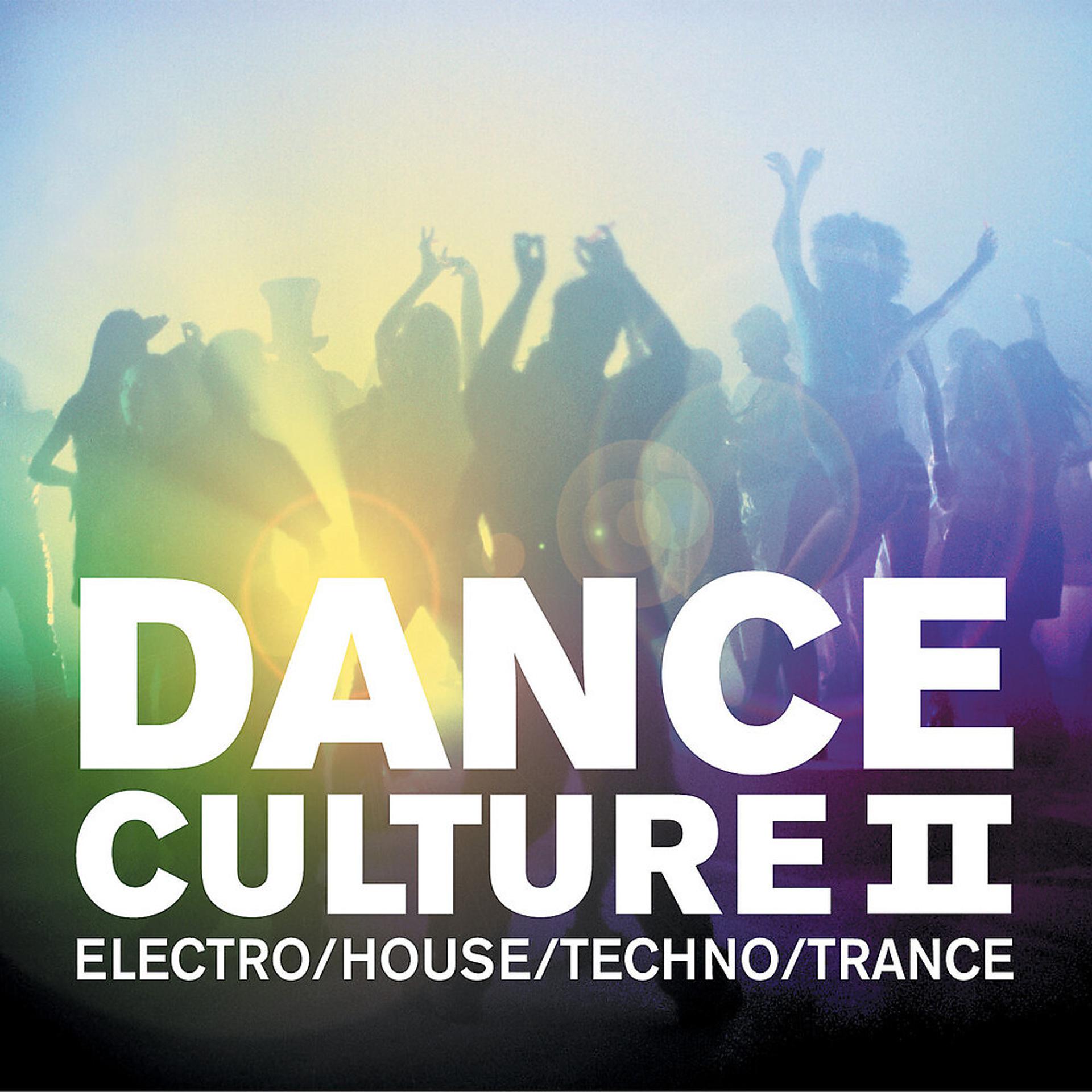 Постер альбома Dance Culture 2