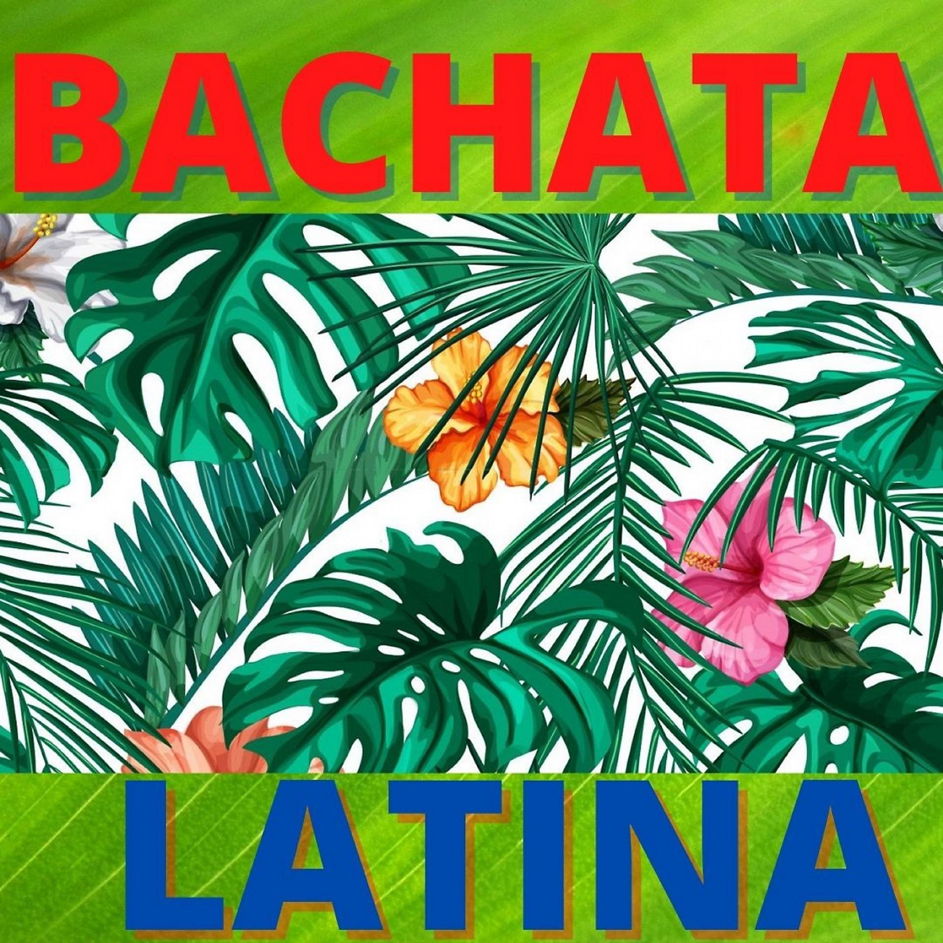 Постер альбома Bachata Latina