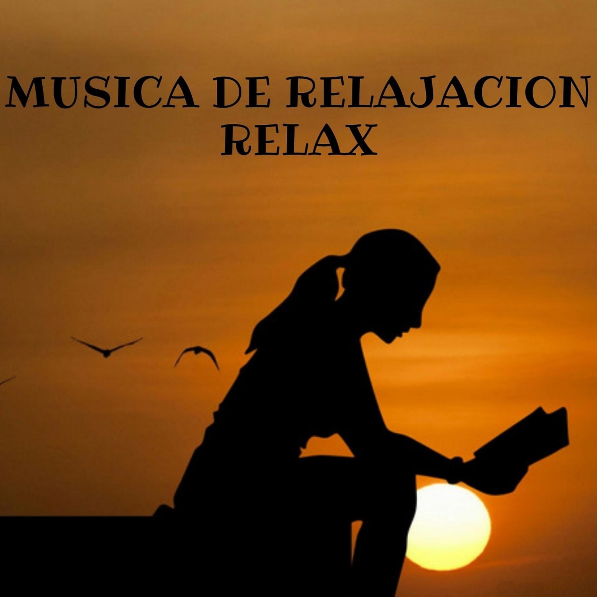 Постер альбома Musica de Relajacion Relax