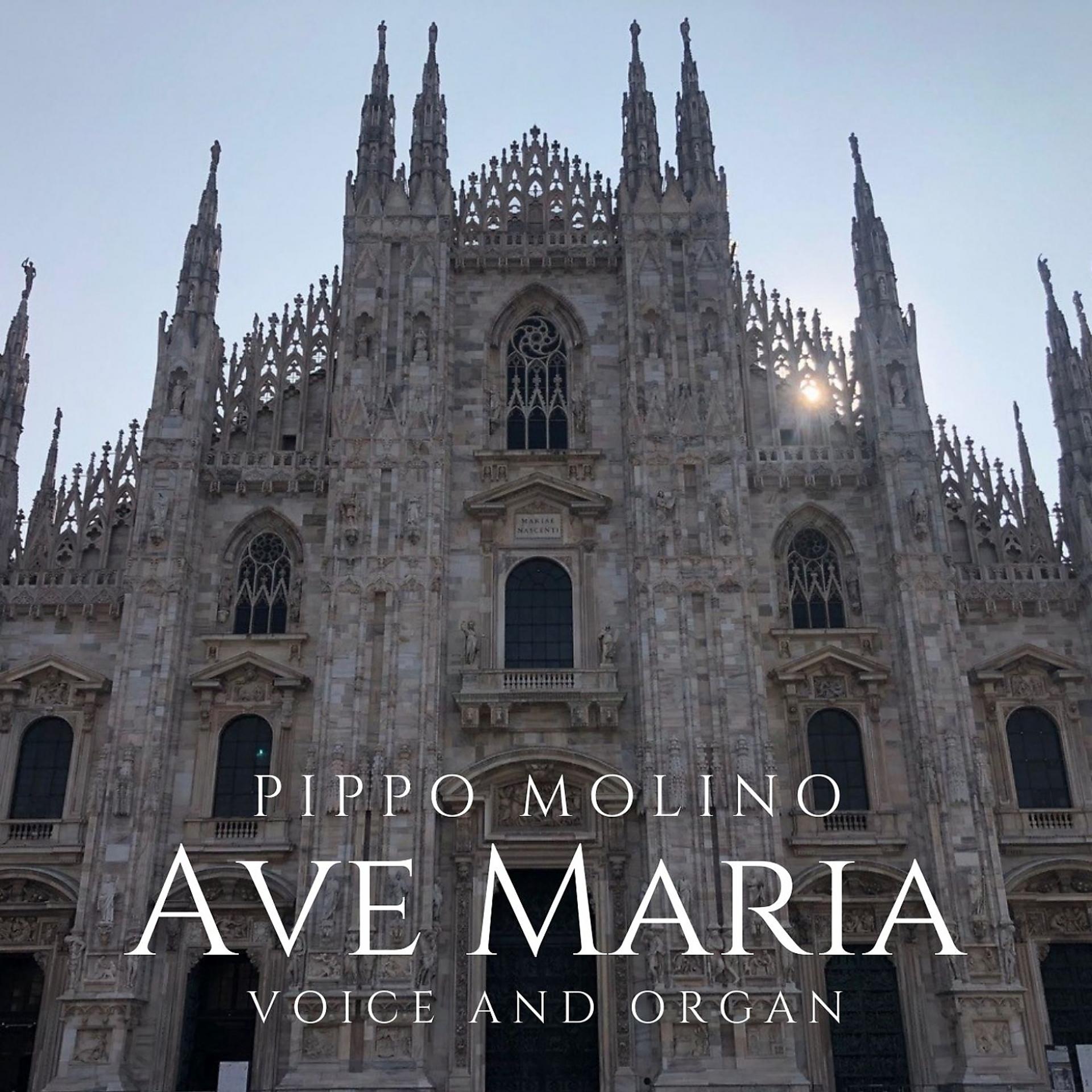 Постер альбома Pippo Molino: Ave Maria, Voice and Organ
