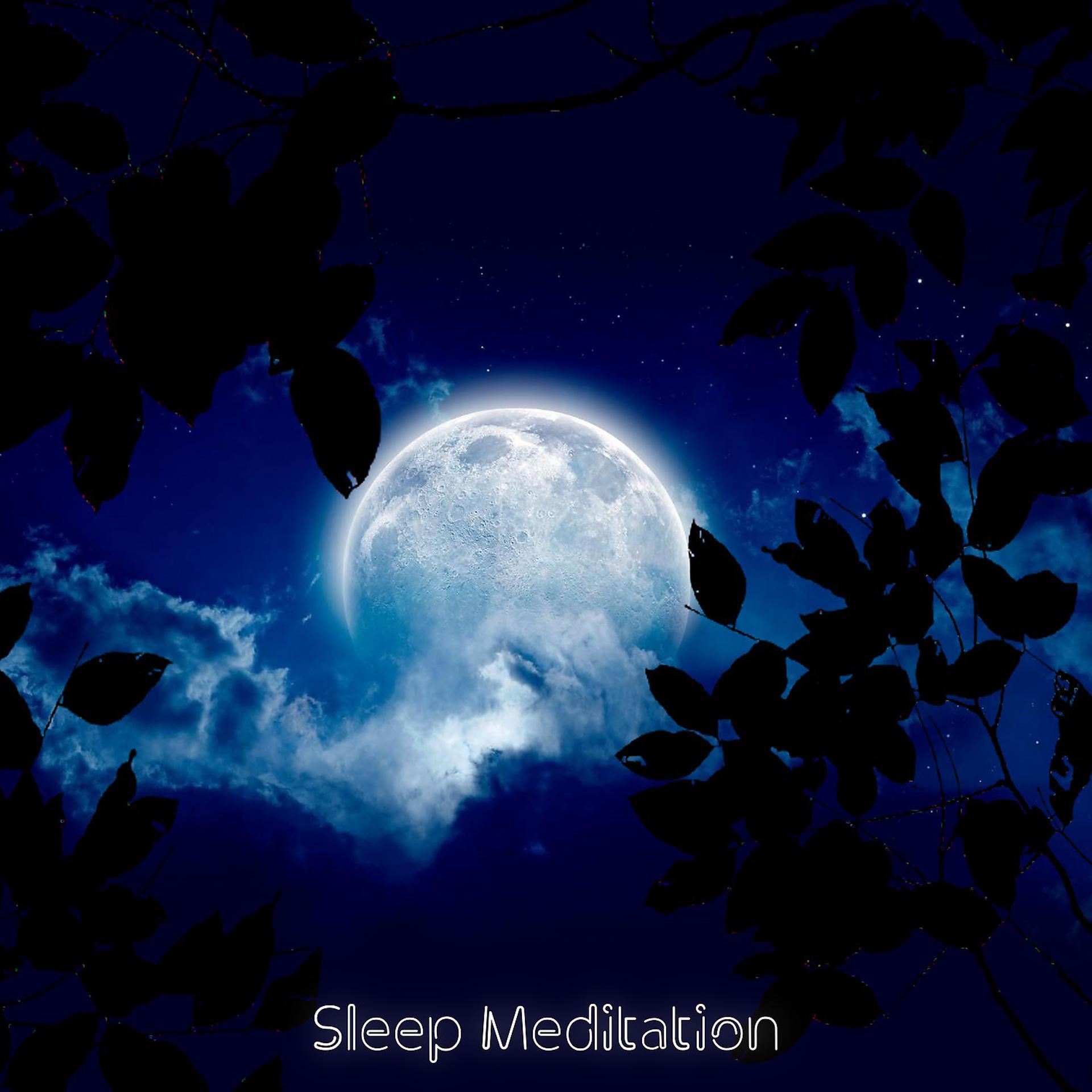 Постер альбома Sleep Meditation